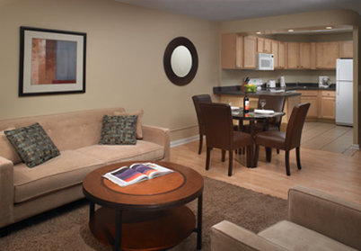 Millennium Park Plaza by null