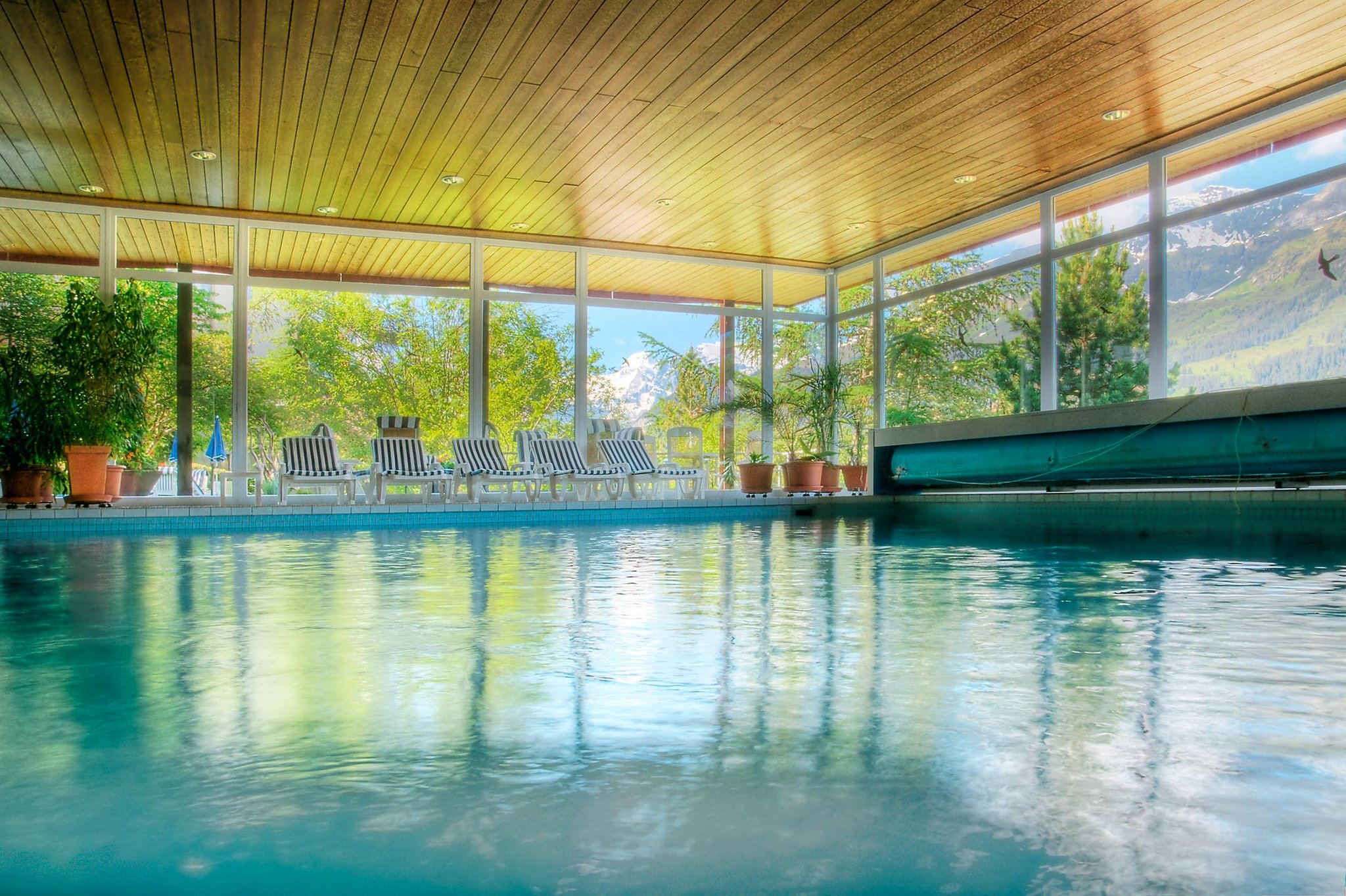 Braunbär Hotel & Spa | Wengen by null