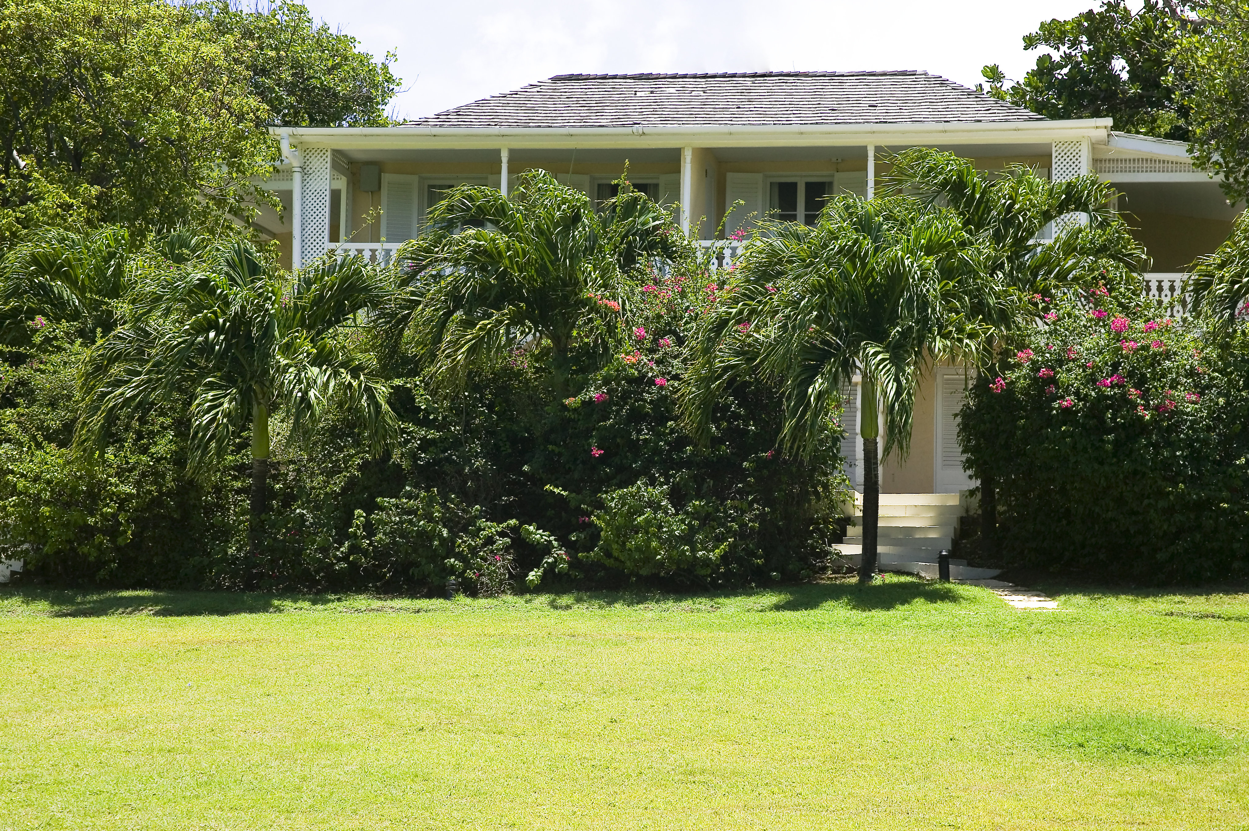 Cotton House by null