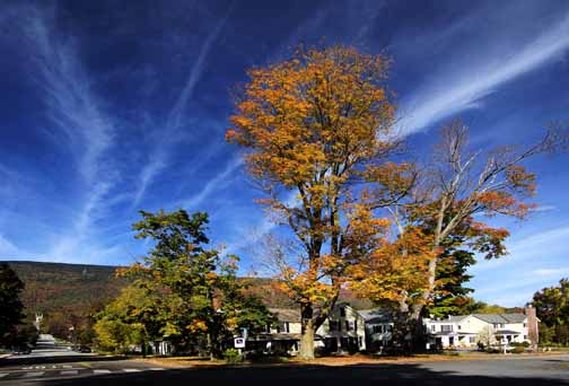 The Reluctant Panther Inn & Restaurant by null