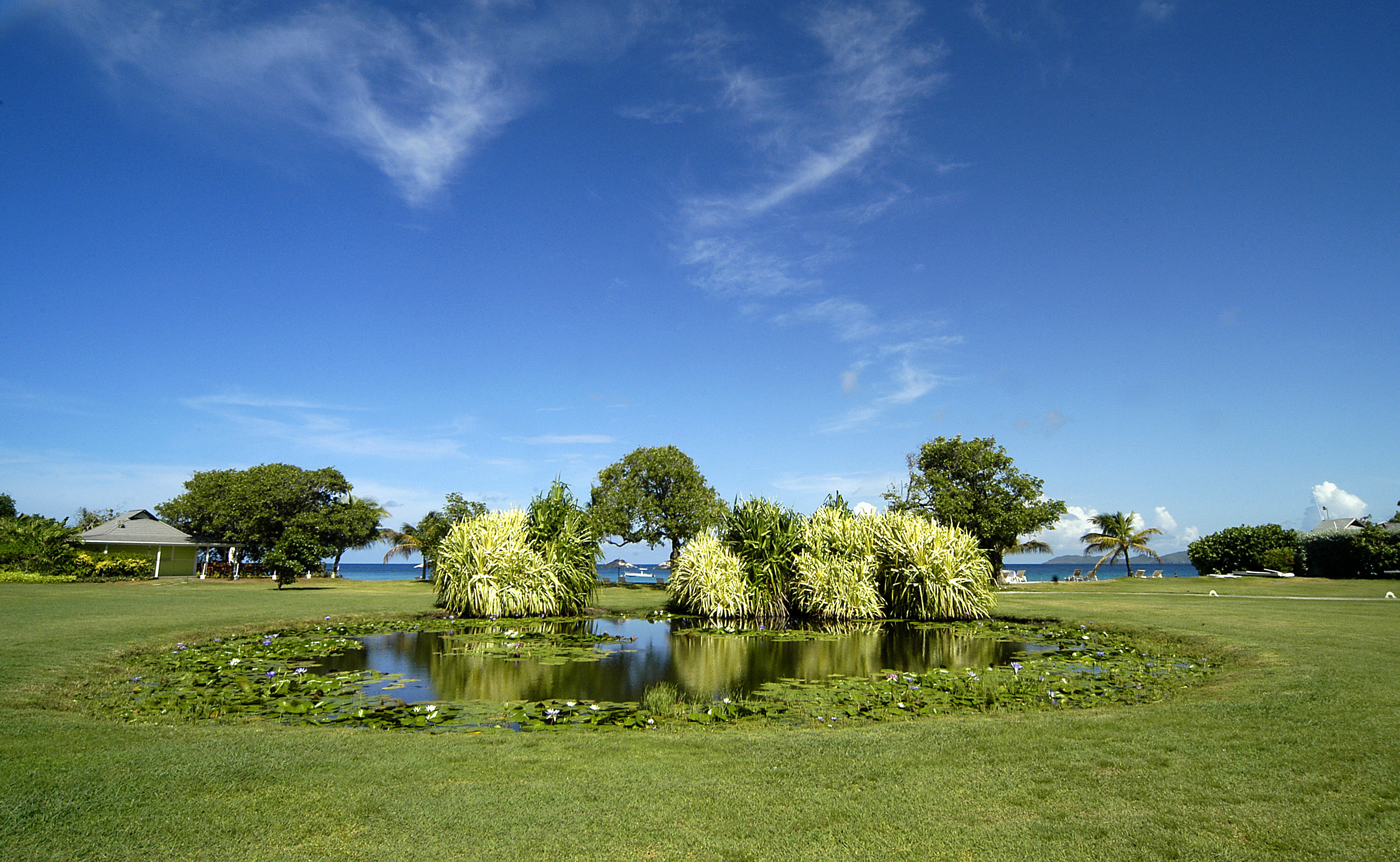 Cotton House by null