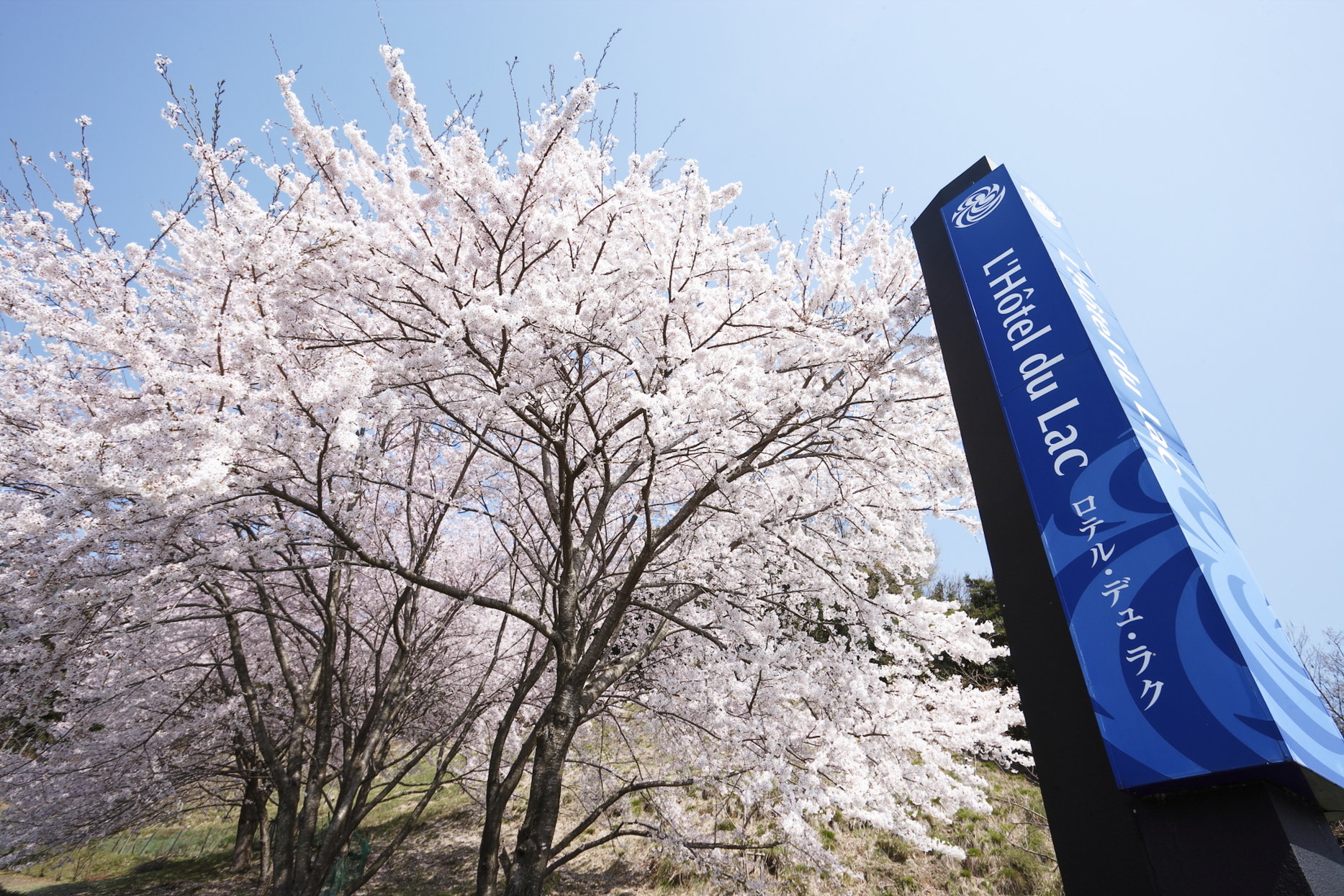 L’Hotel du Lac by null