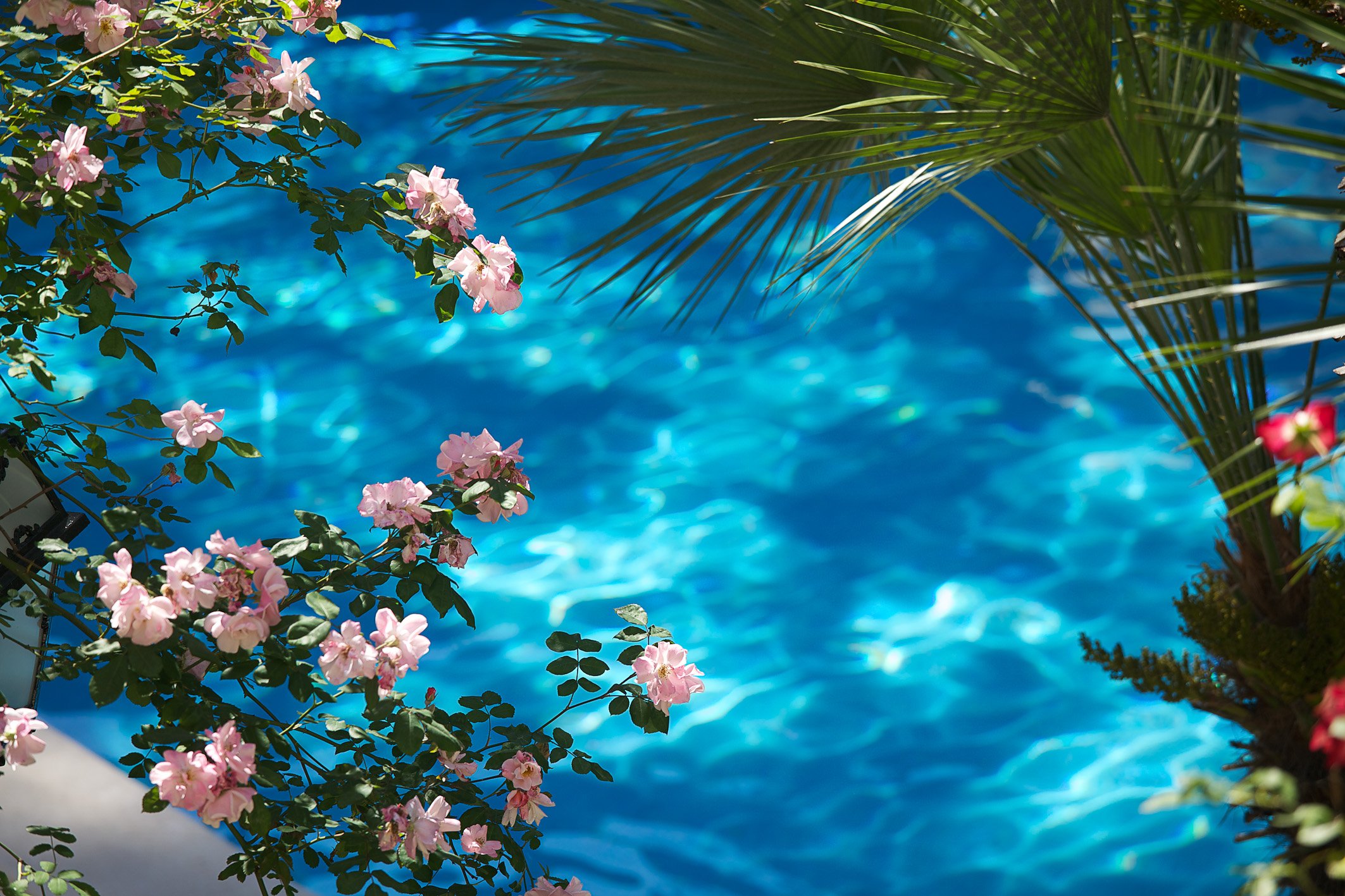 Hotel Aldrovandi by null