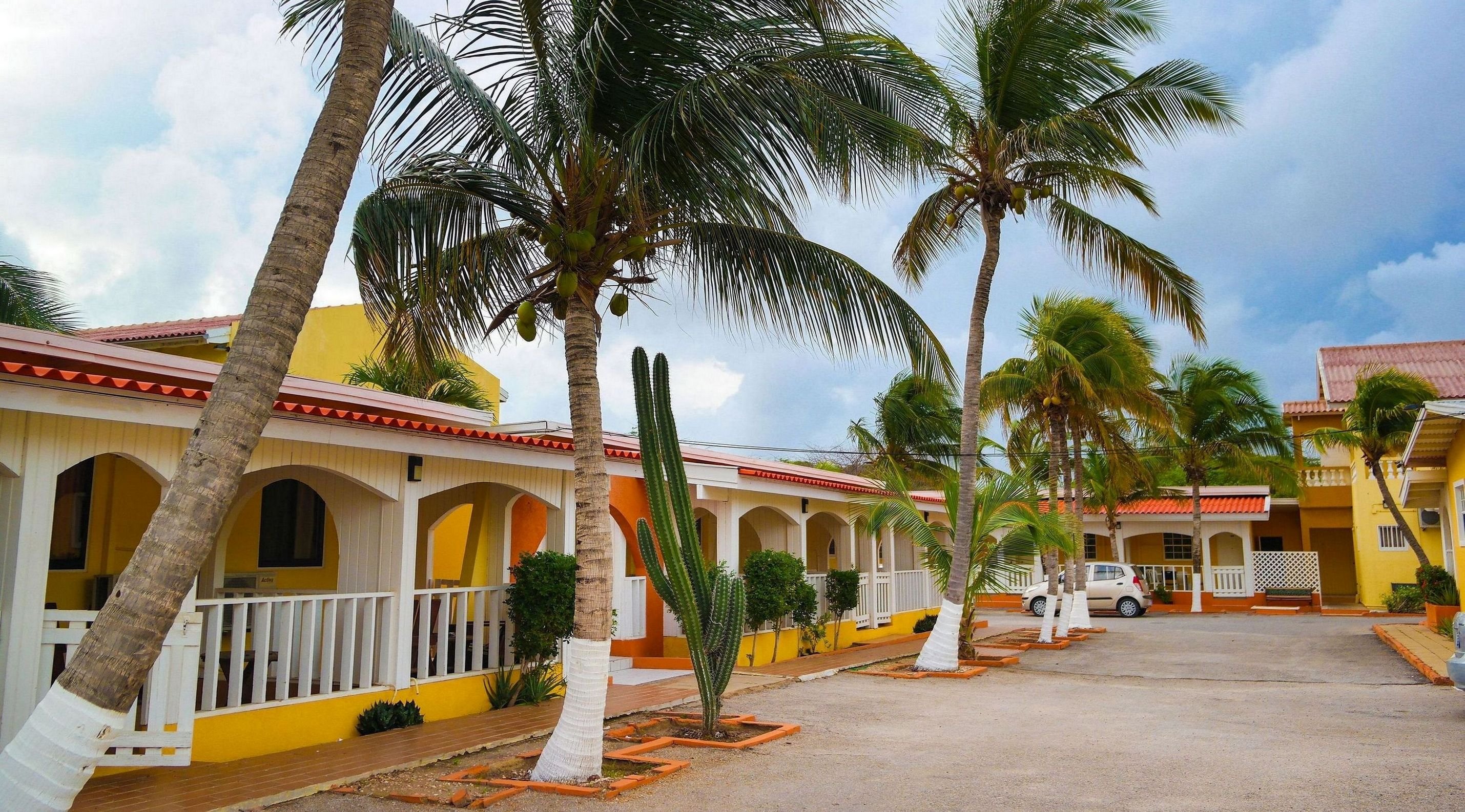 The Coconut Inn by null