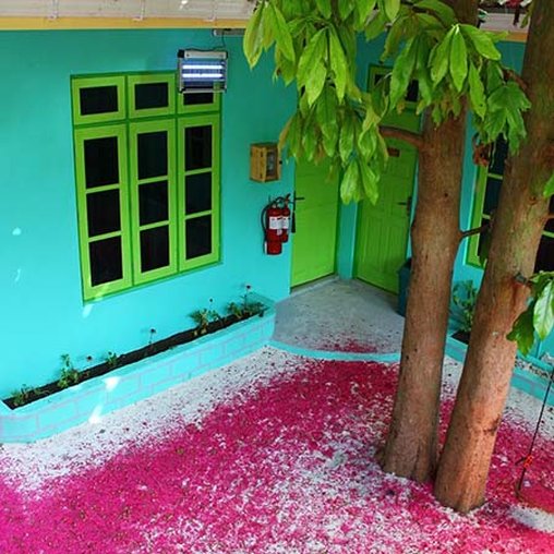 Ukulhas Beach Inn - Bild 4