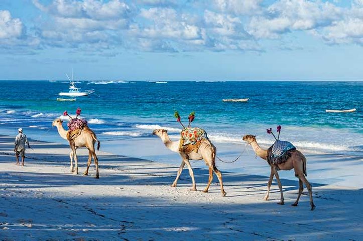 Elewana AfroChic Diani Beach by null