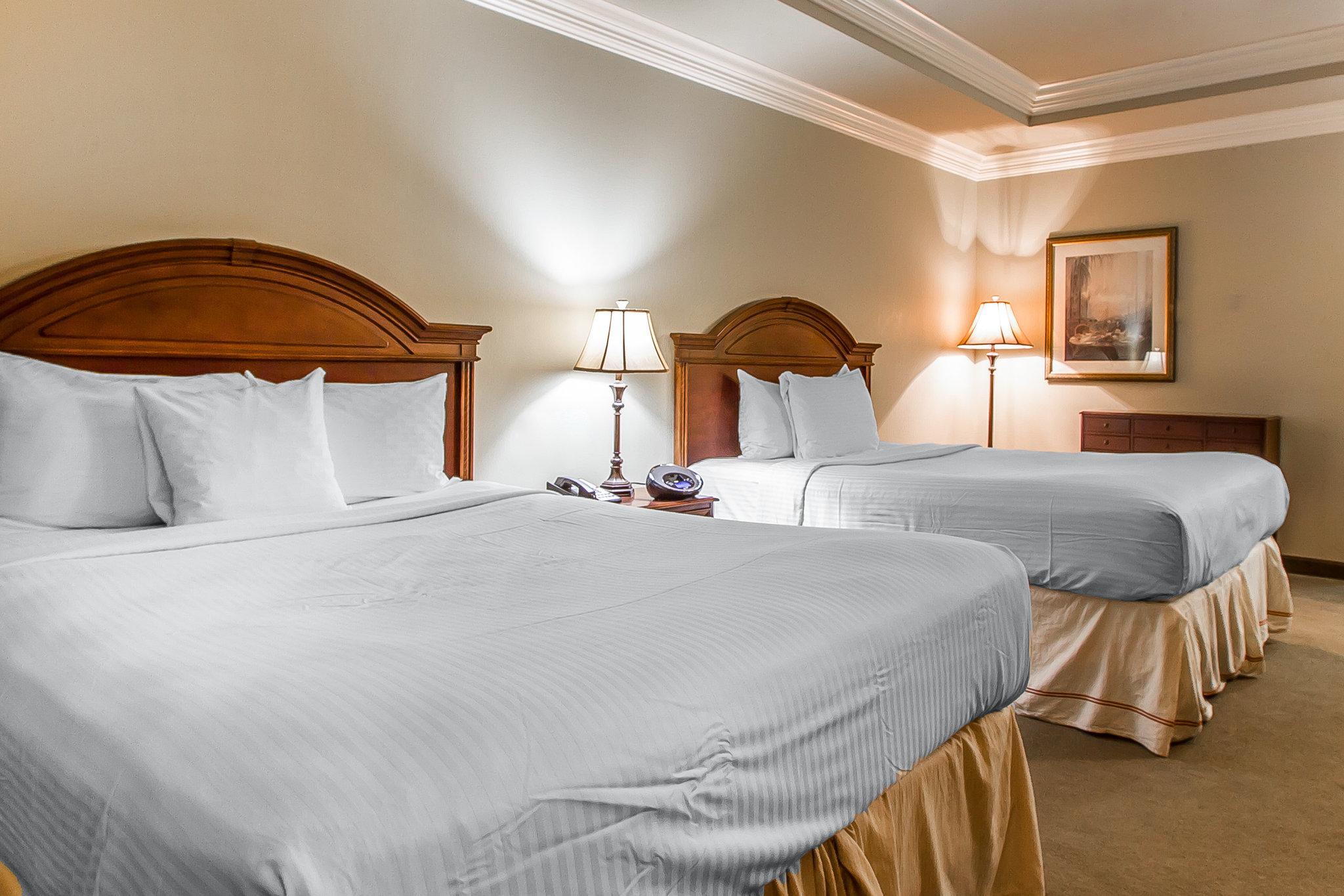 The Juliet Hotel photo 8