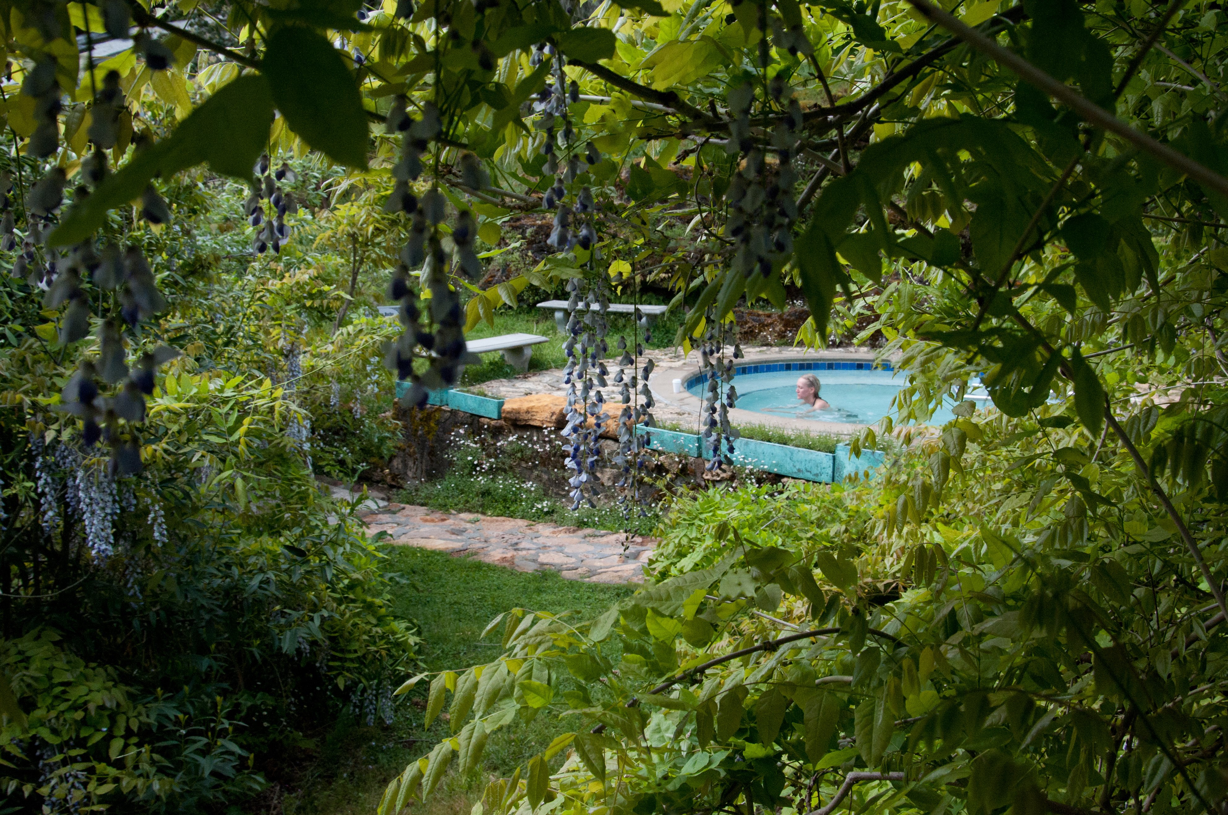 Vichy Springs Resort and Inn by null