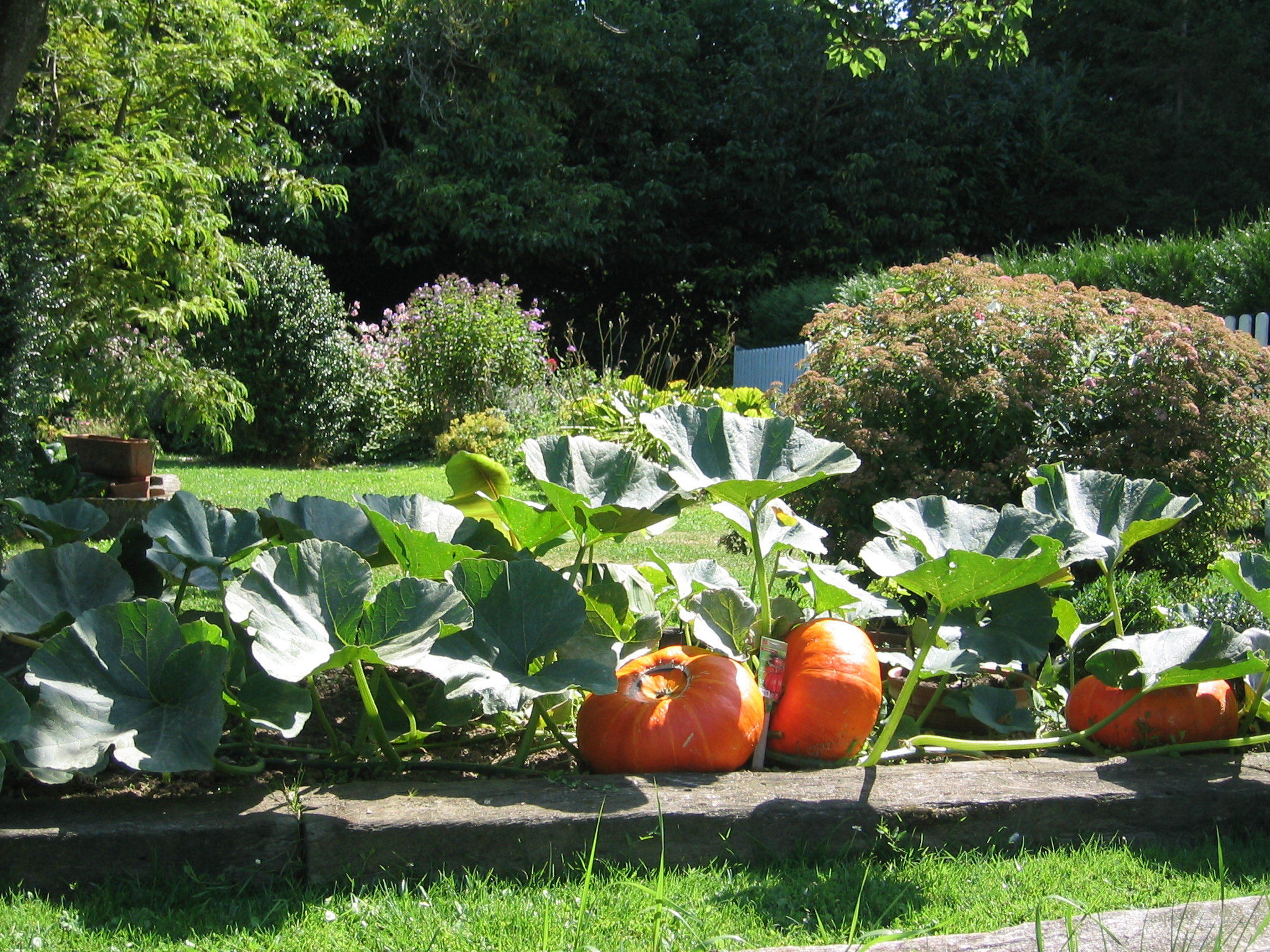 Château La Chenevière by null