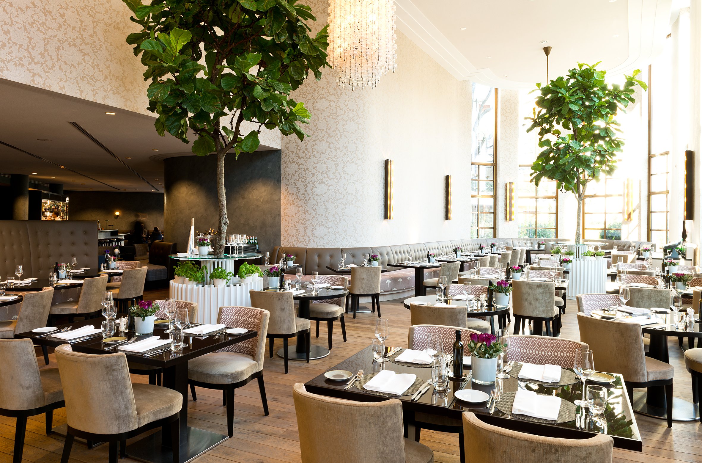 The Charles Hotel photo 6