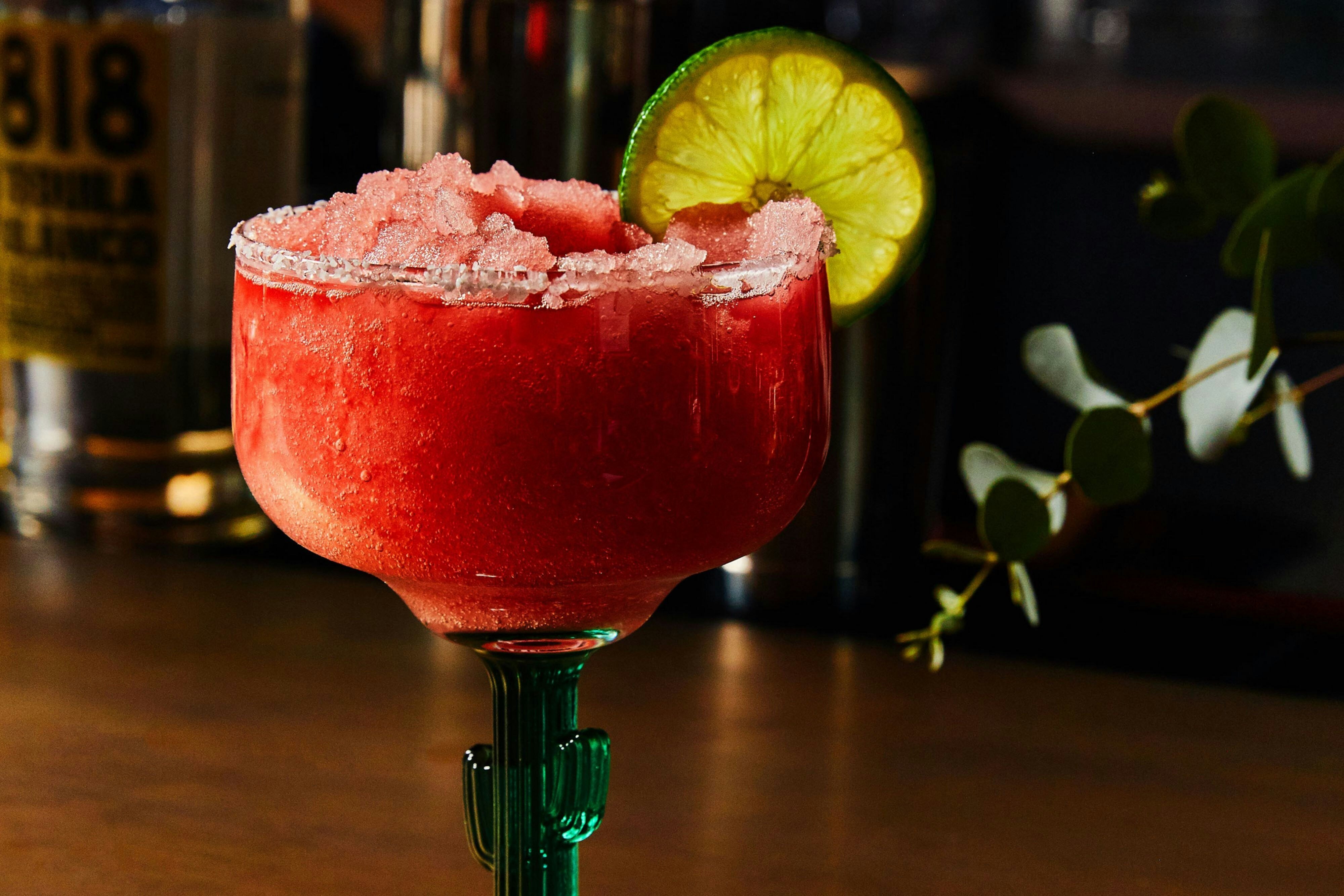 Trailborn Grand Canyon by null