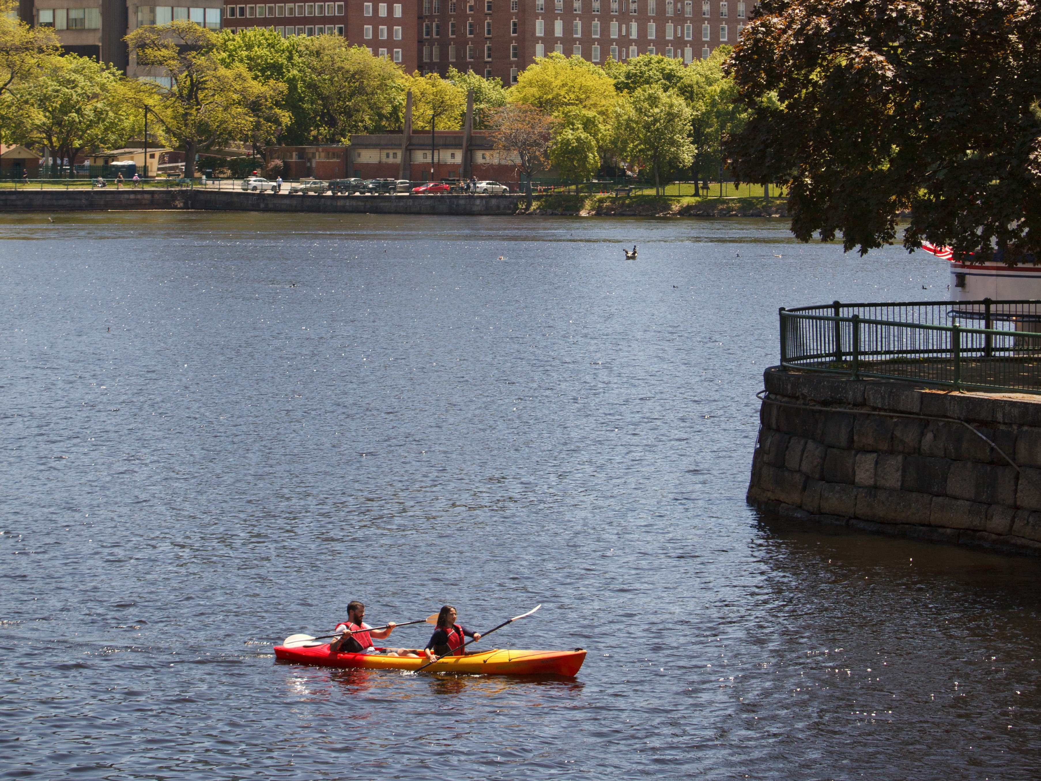 Kimpton Marlowe Hotel by null