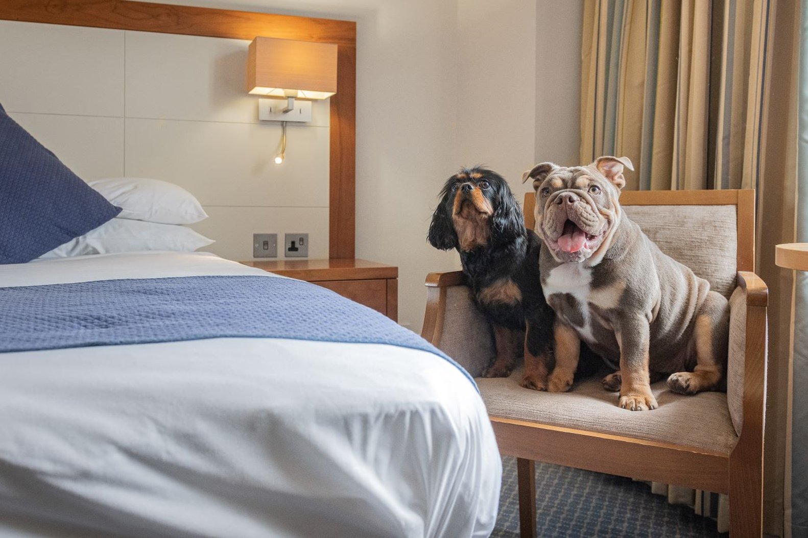 Riverside Hotel Kendal by null