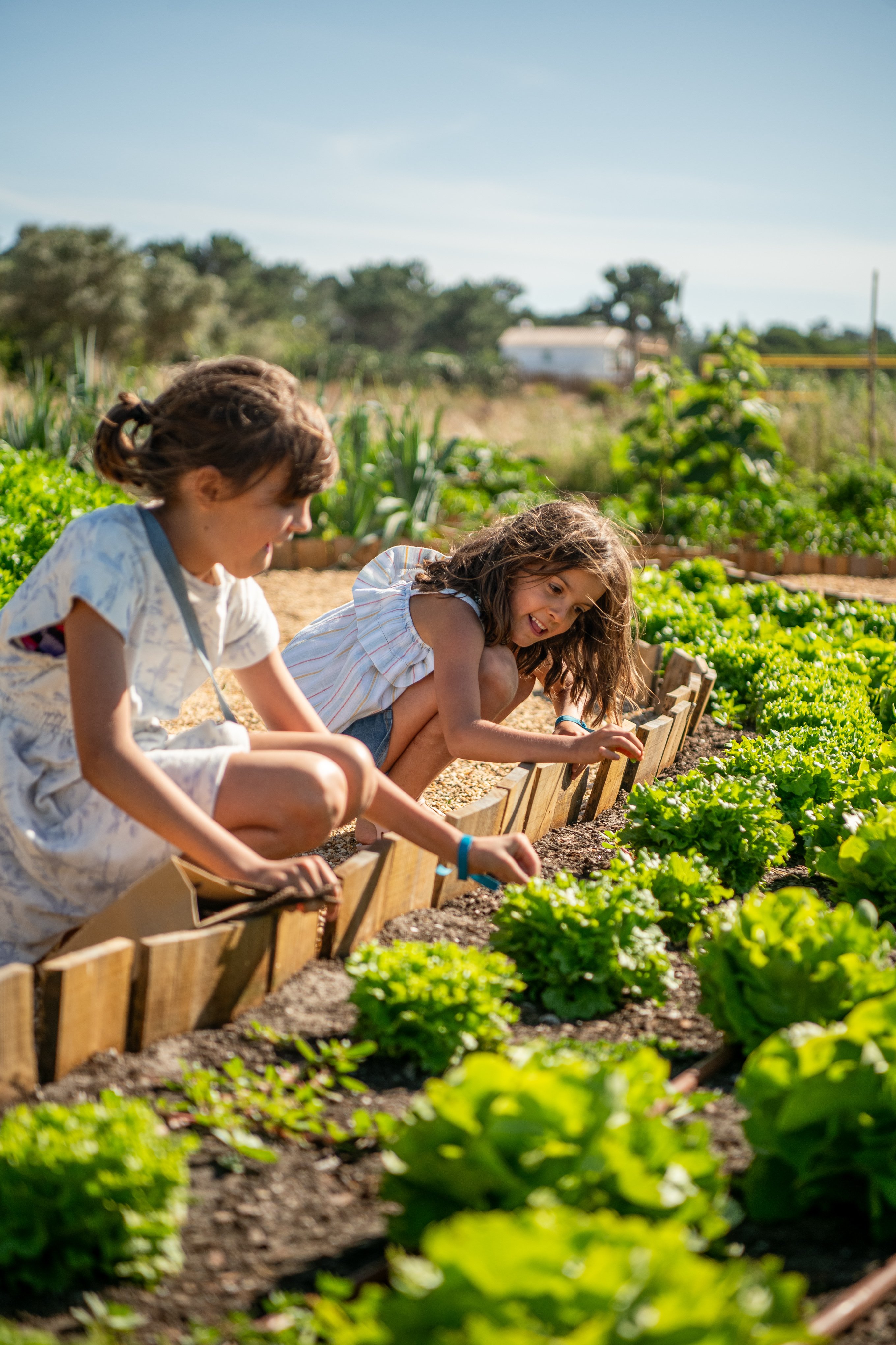Quinta Da Comporta - Wellness Boutique Resort, an SLH Hotel by null