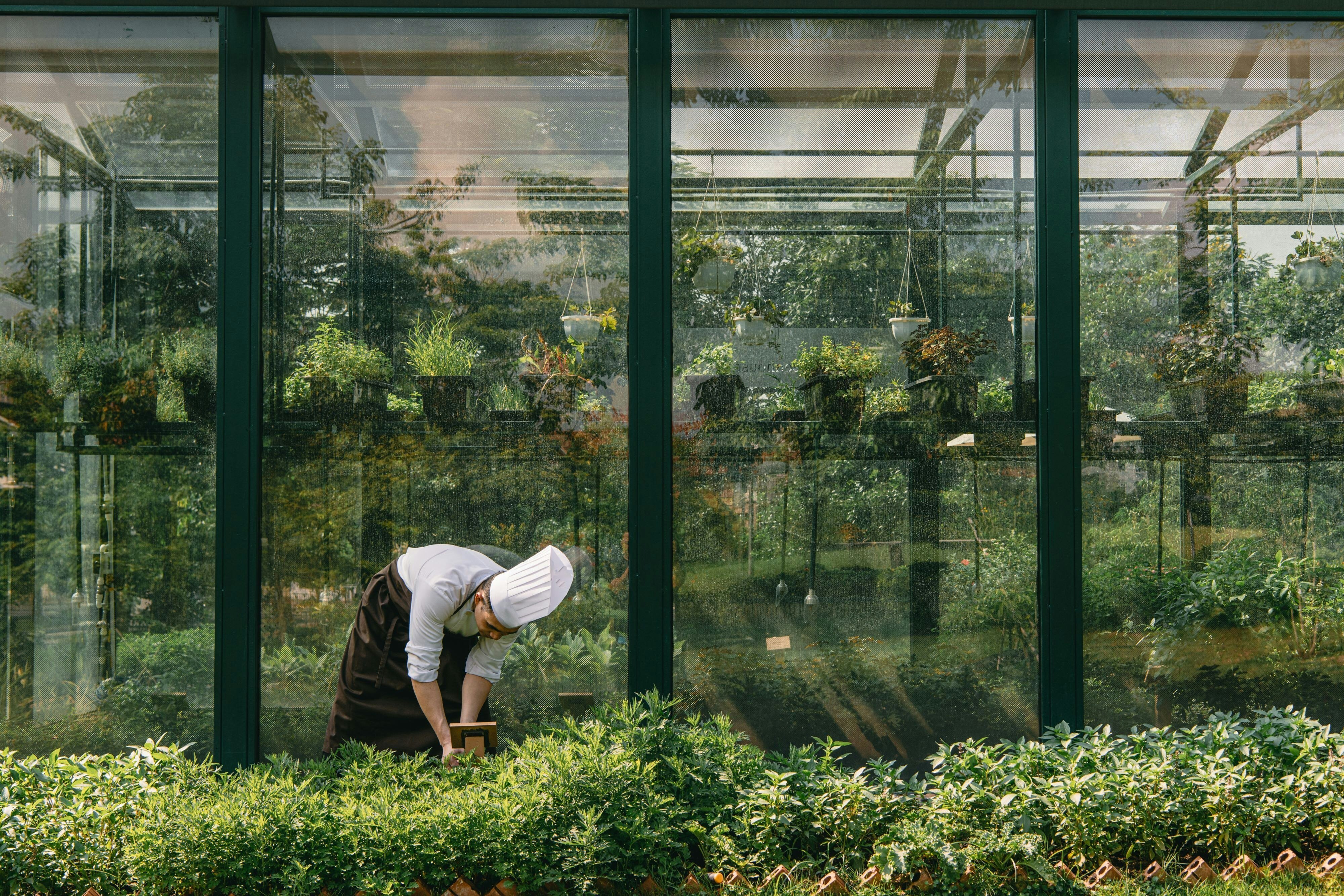 JW Marriott Hotel Hanoi by null