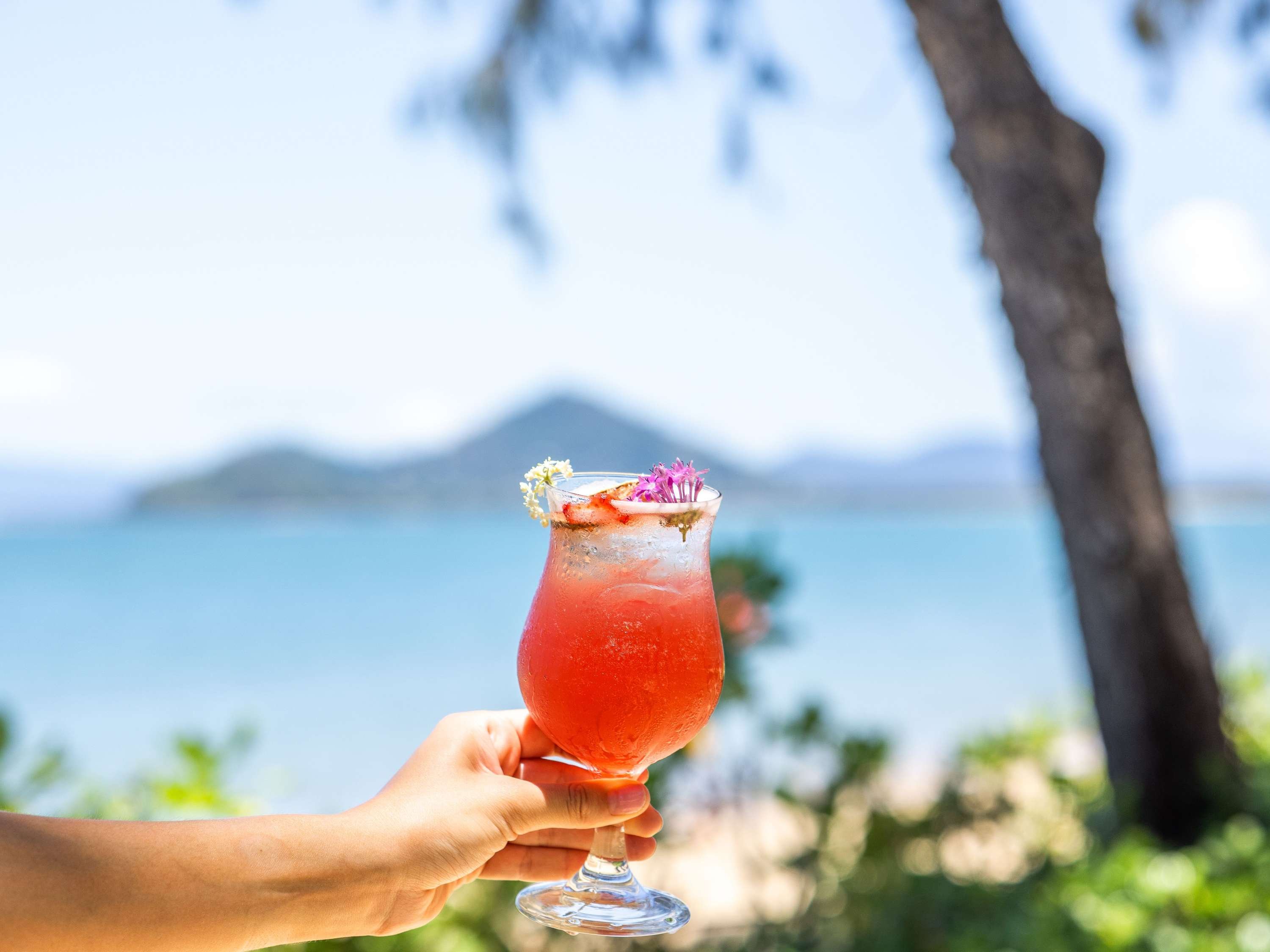 Peppers Beach Club & Spa Palm Cove by null