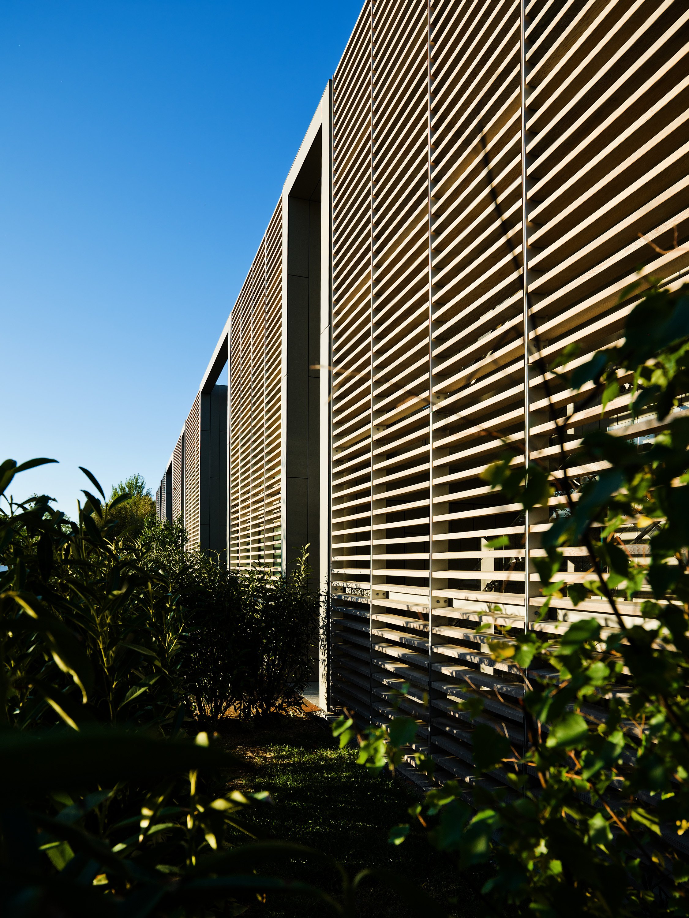 Topping Rose House by null