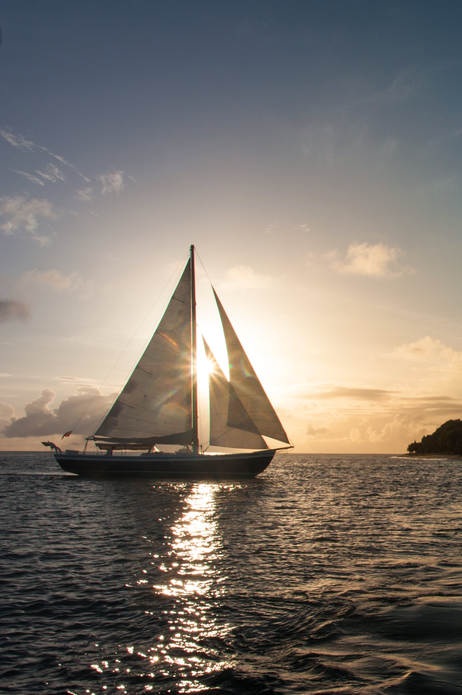 Petit St Vincent Resort by null