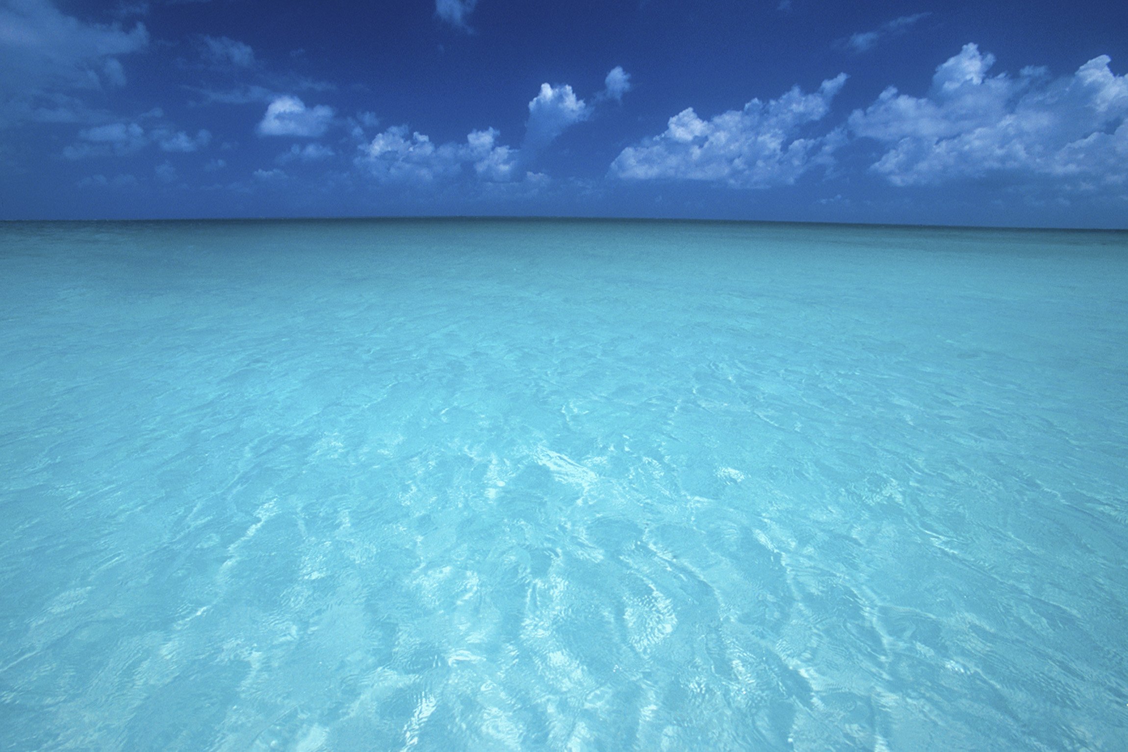 Grace Bay Club by null