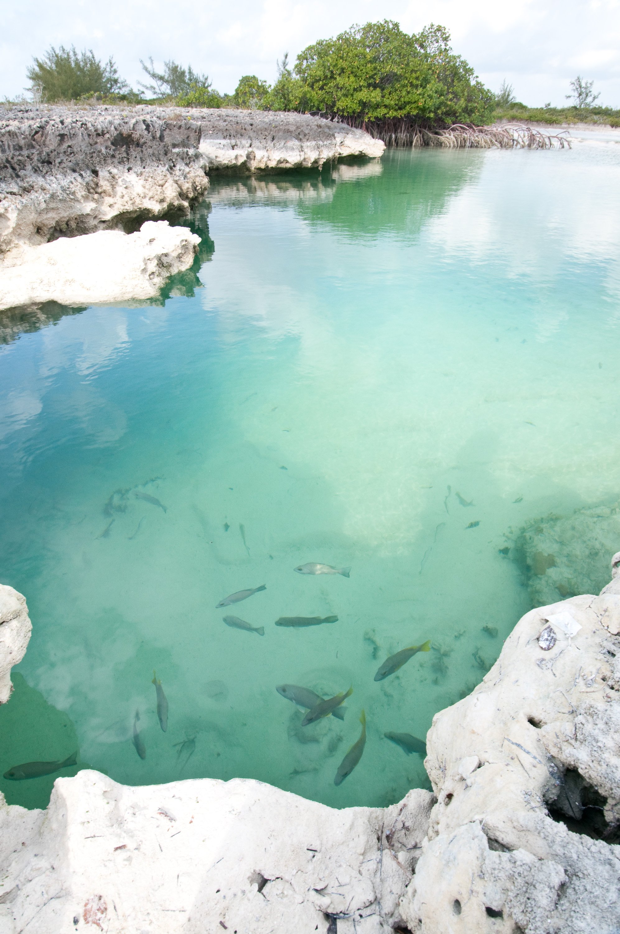 Tiamo Resort by null