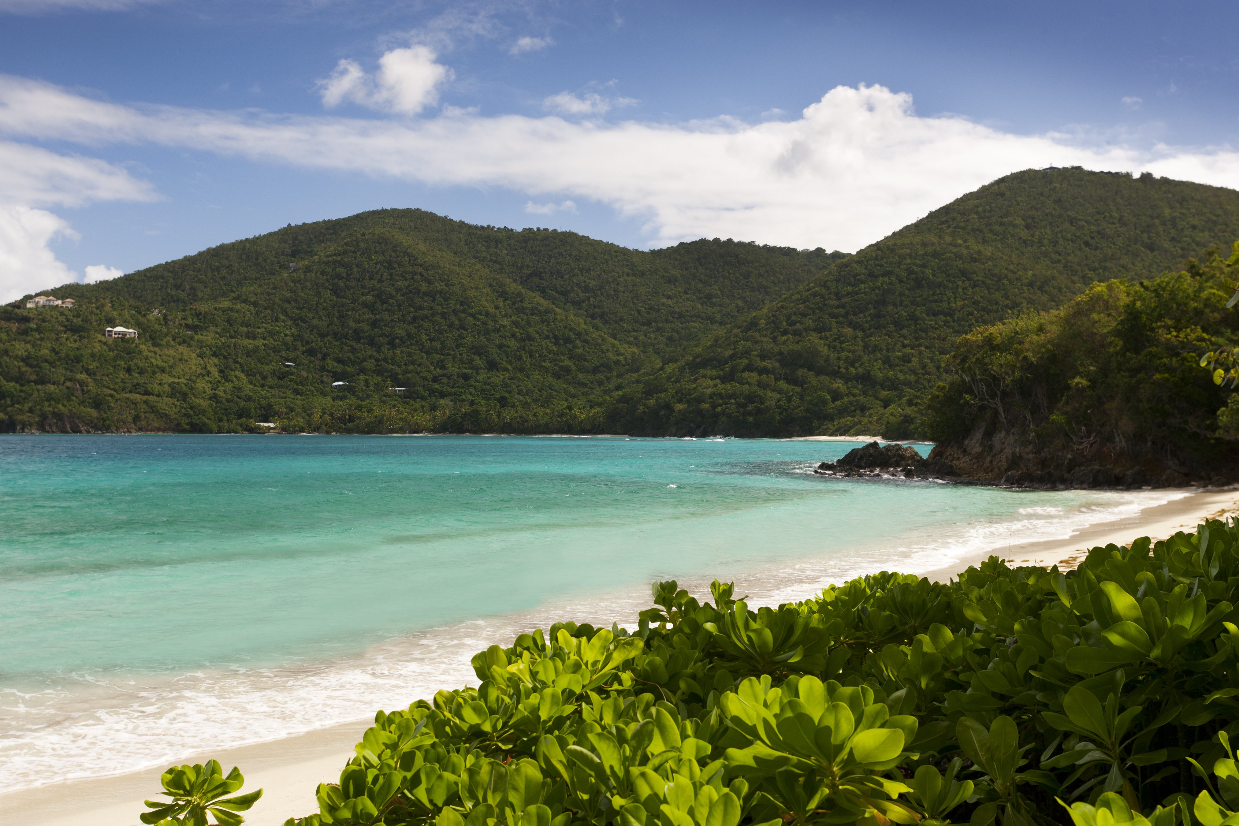 Caneel Bay Resort by null