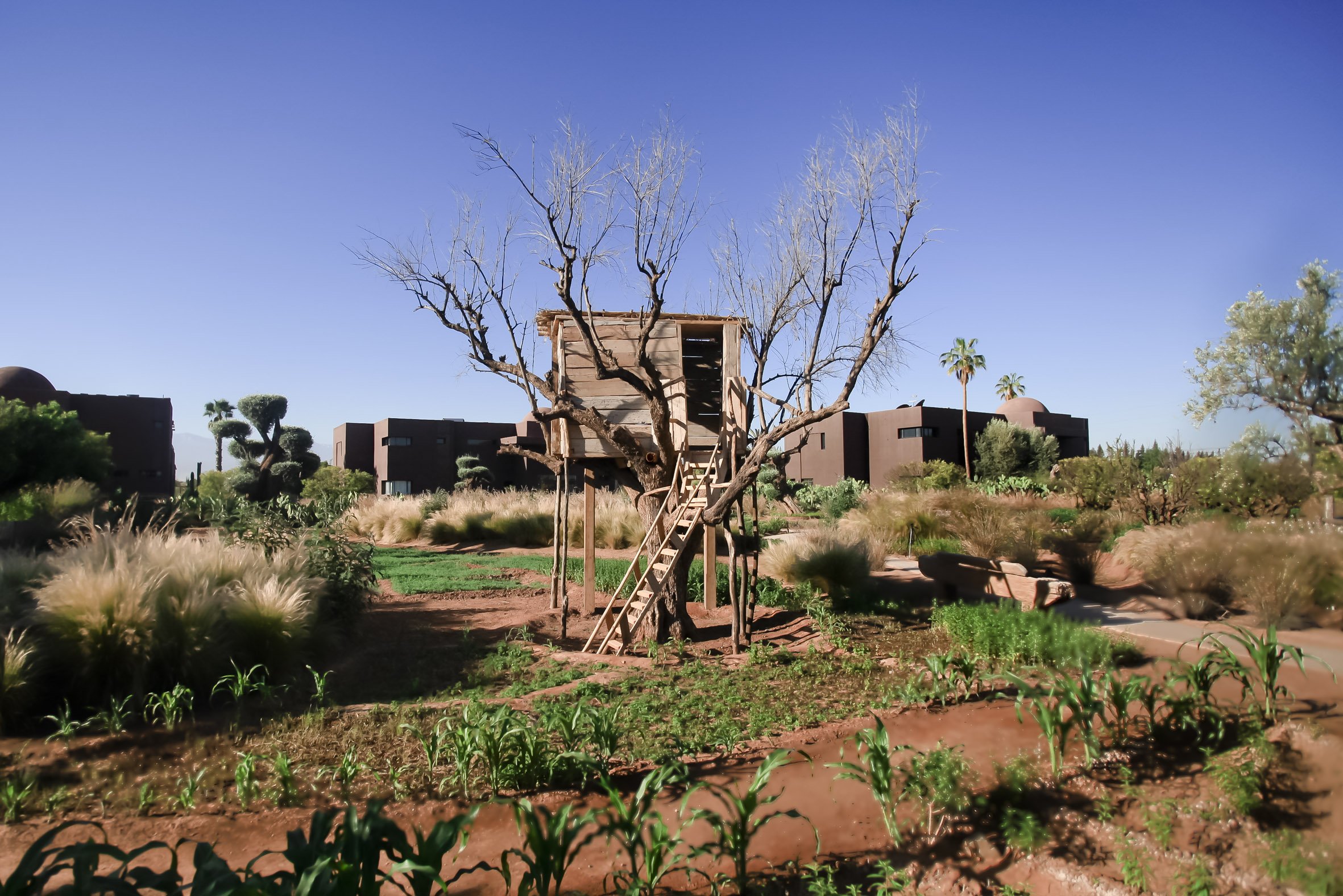 Fellah Hôtel by null