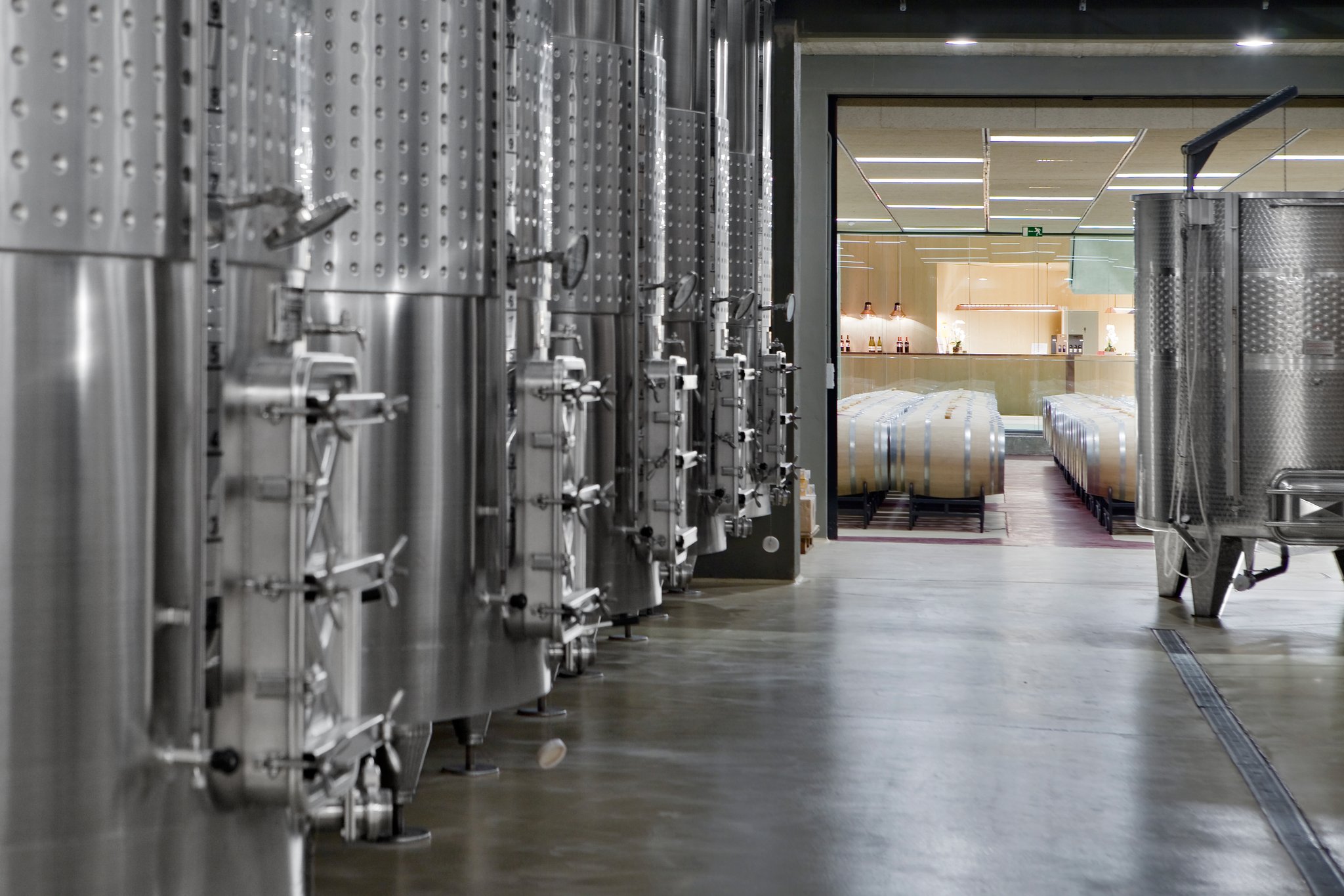 Finca de los Arandinos Bodega | Hotel by null