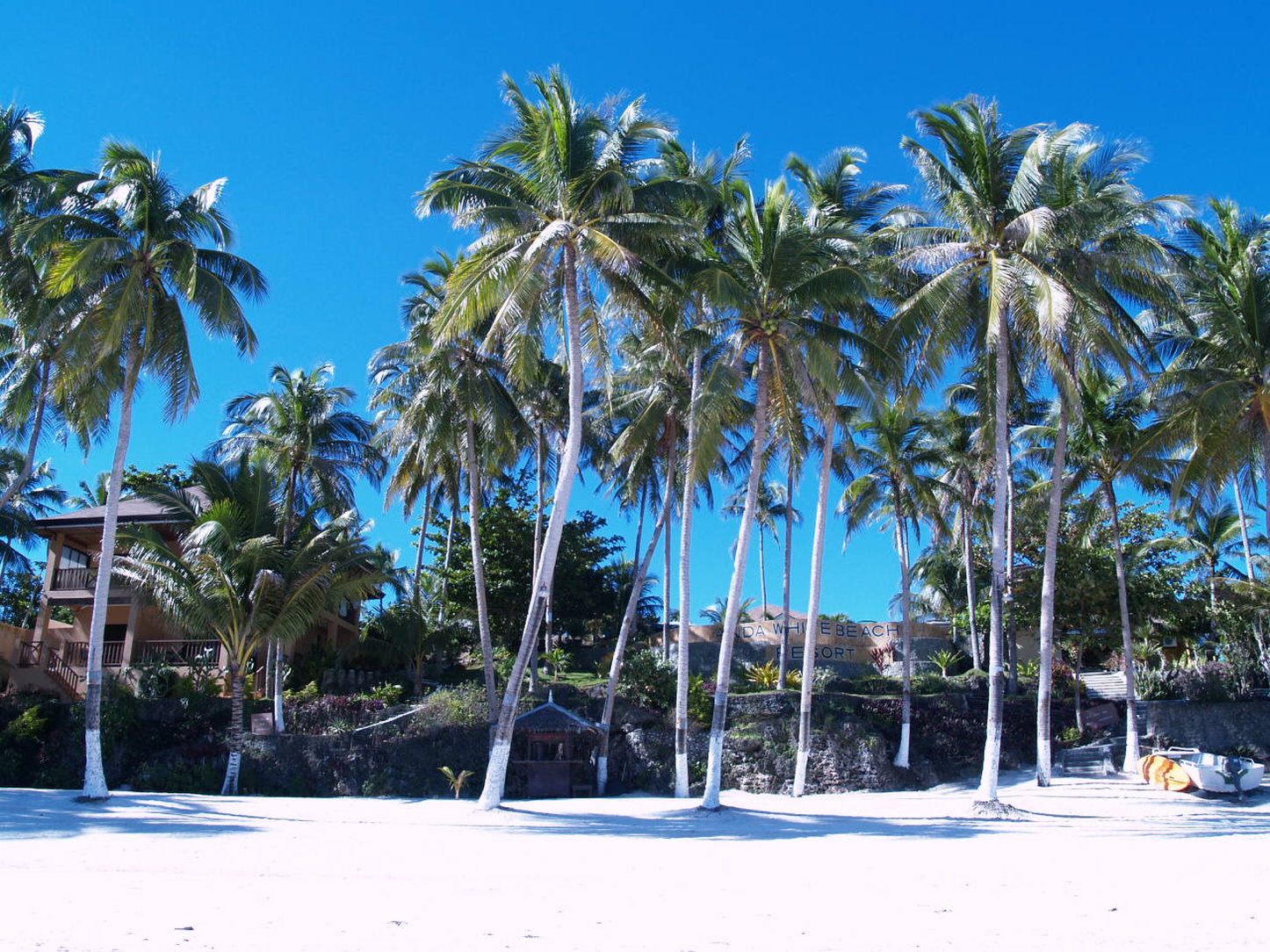 Anda White Beach Resort by null