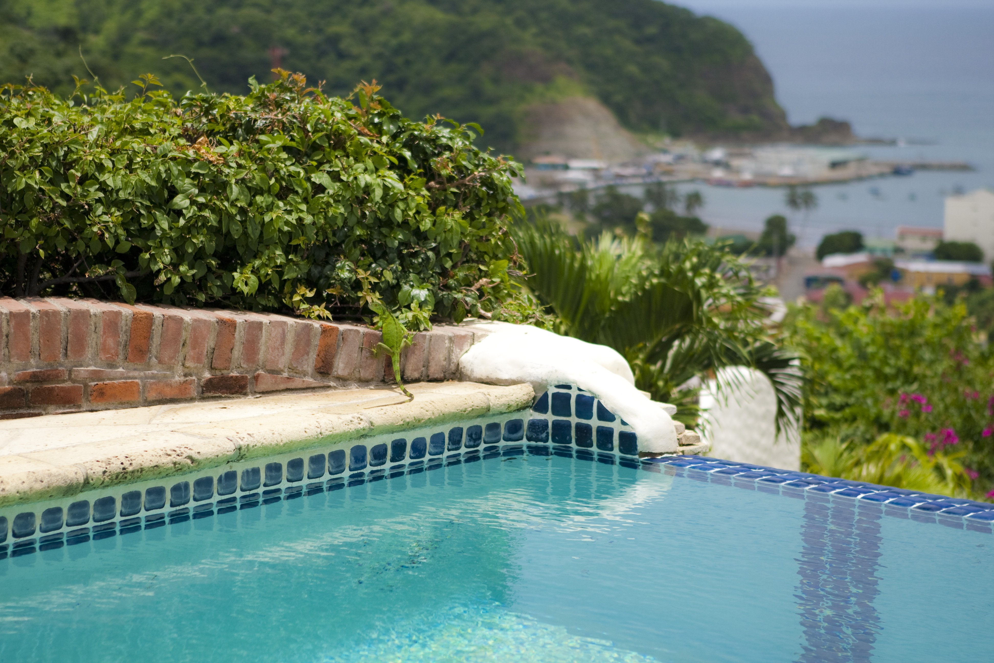 Pelican Eyes Piedras Y Olas Resort by null