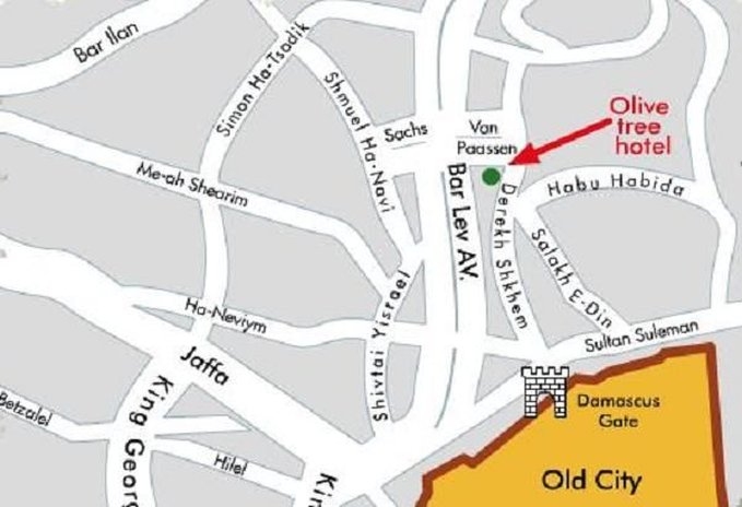 Olive Tree Hotel by null