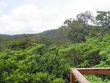 Crystal Paradise Resort by null