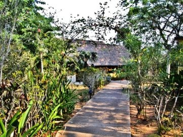 Crystal Paradise Resort by null