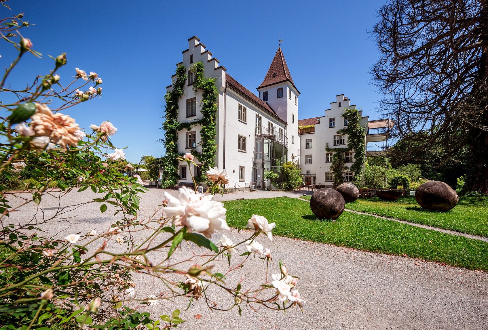 Wartegg Castle image