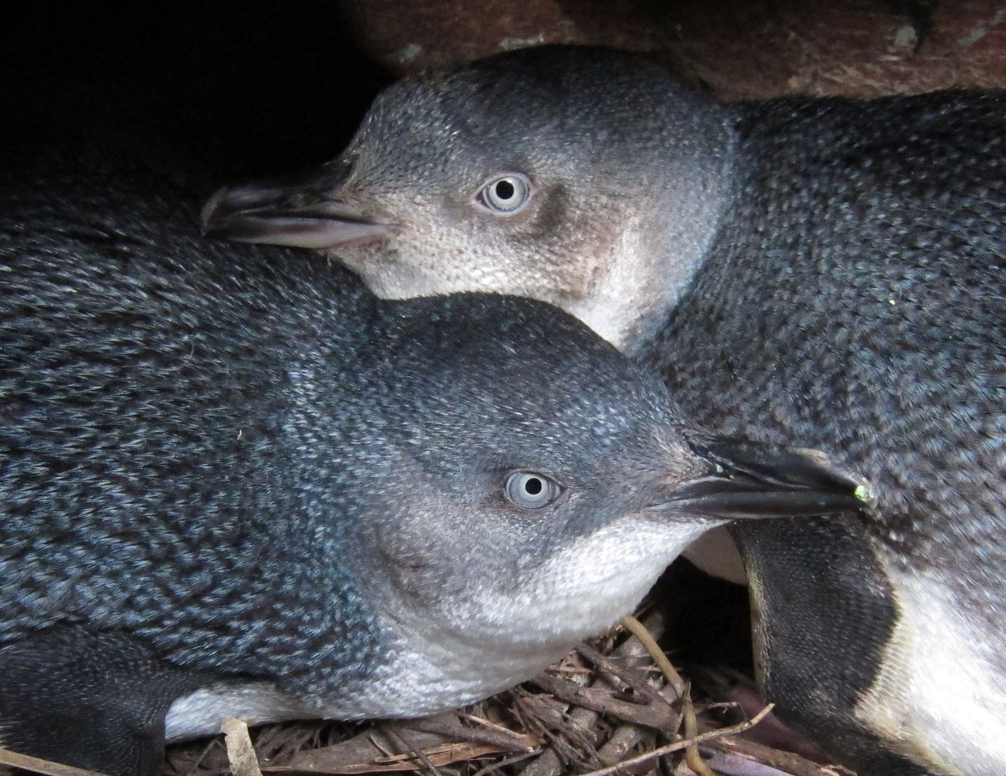 Bay of Many Coves Resort by null