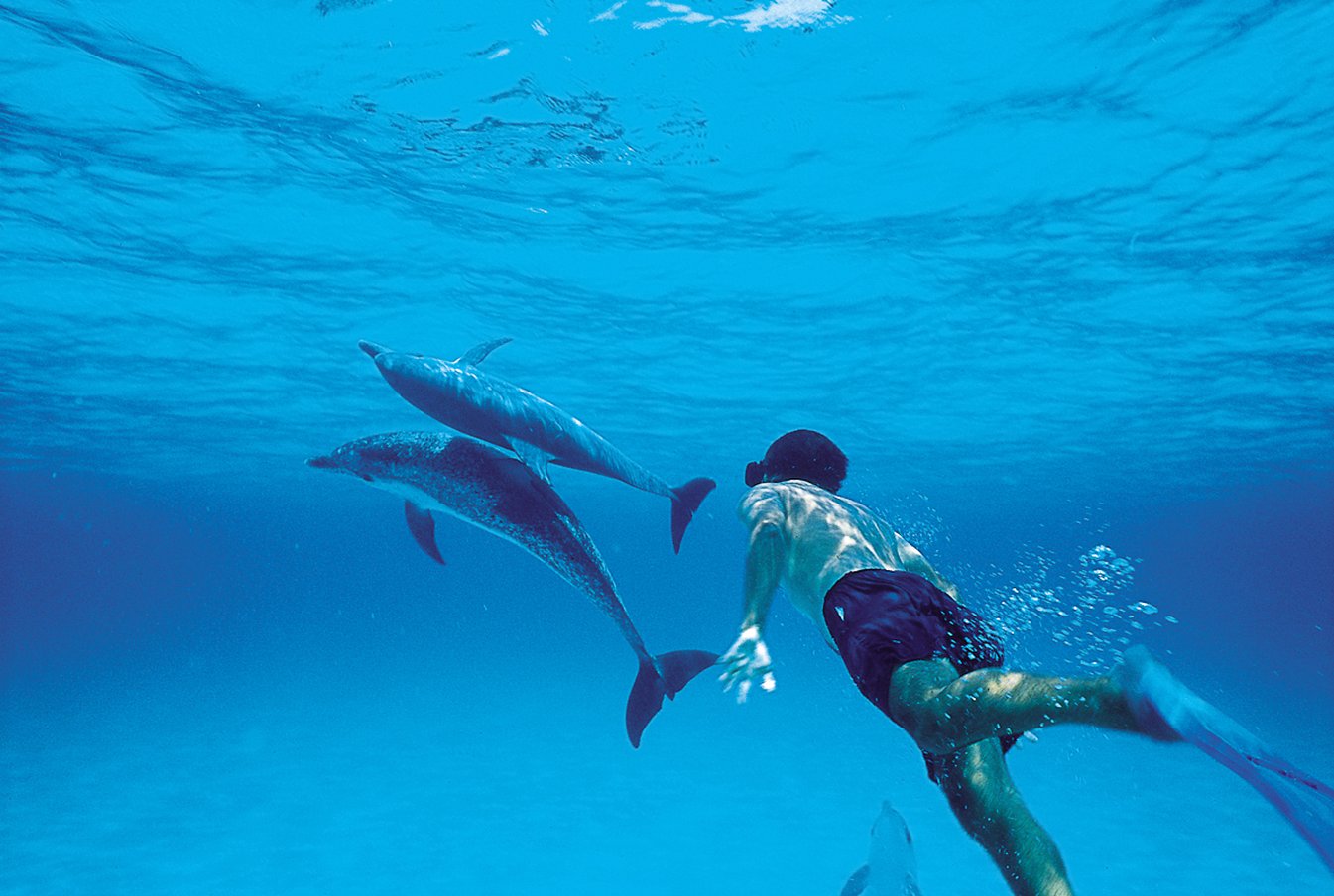 Bimini Big Game Club Resort & Marina by null