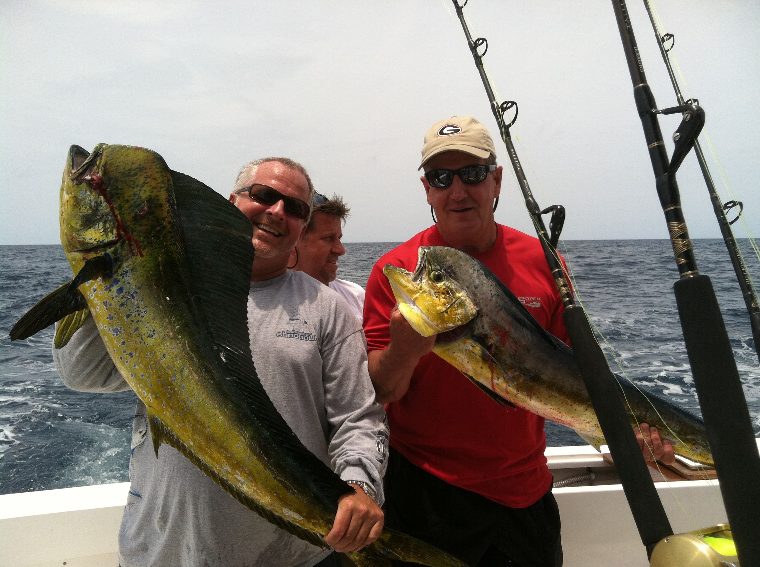 Bimini Big Game Club Resort & Marina by null