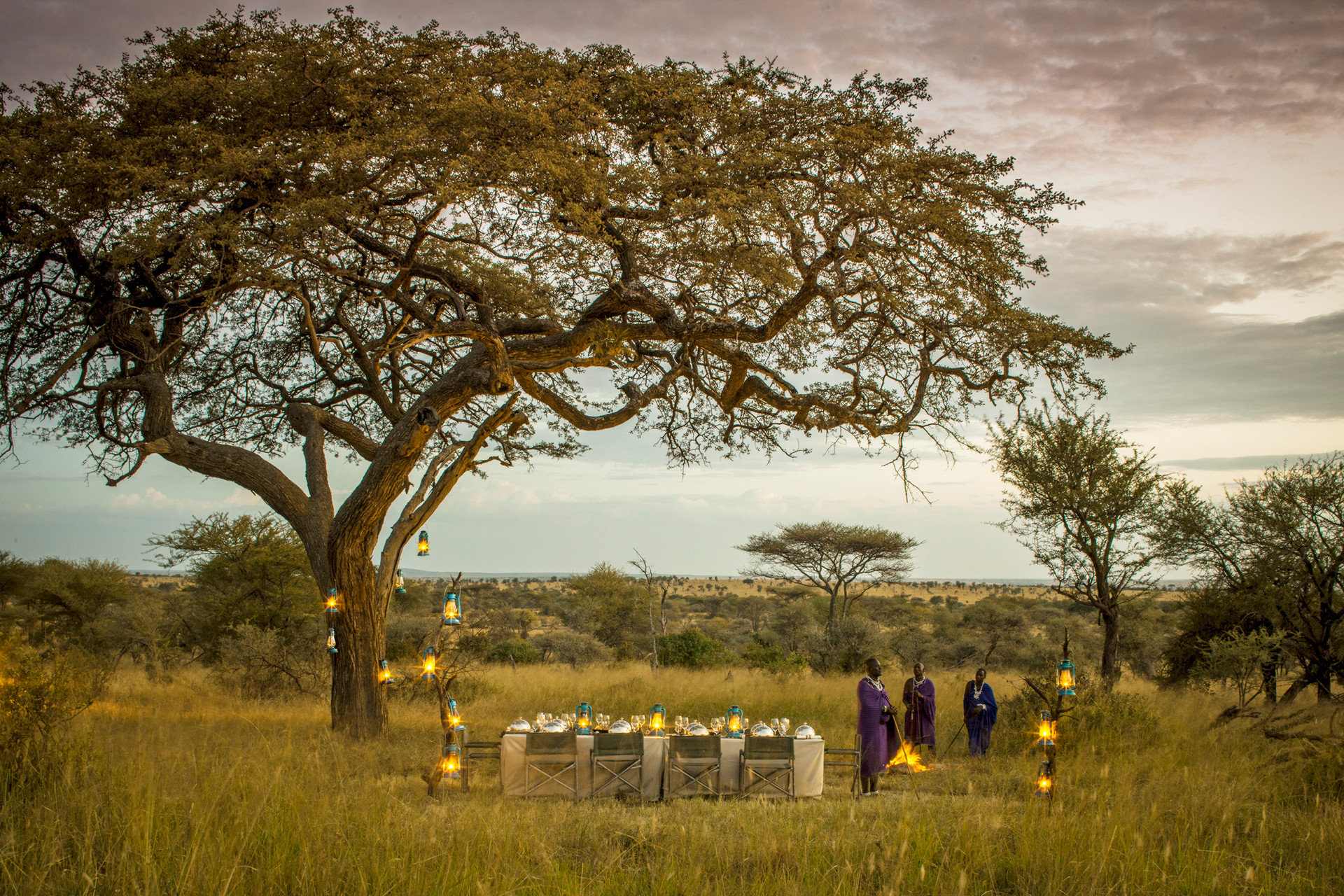 Four Seasons Safari Lodge Serengeti by null