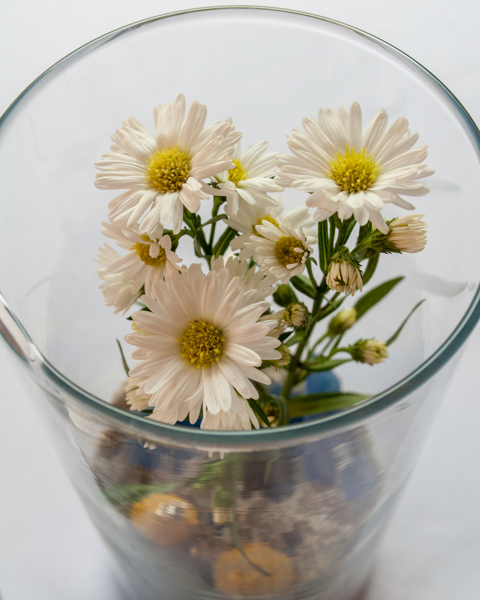 Beach Place Guesthouses by null