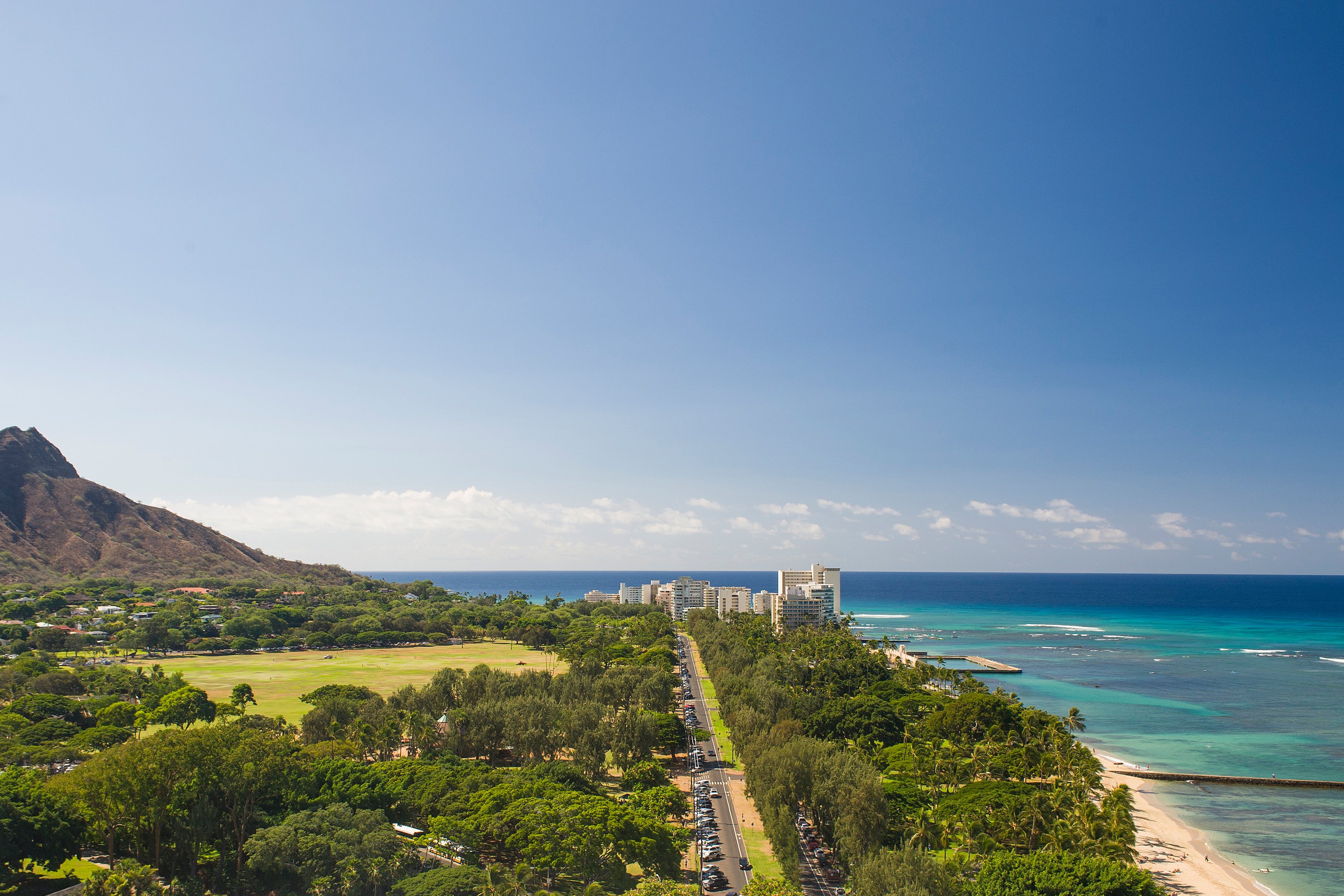 The Twin Fin Hotel by null