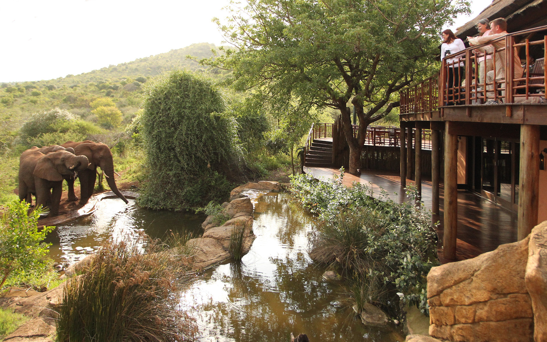 Thanda Safari - Private Game Reserve by null