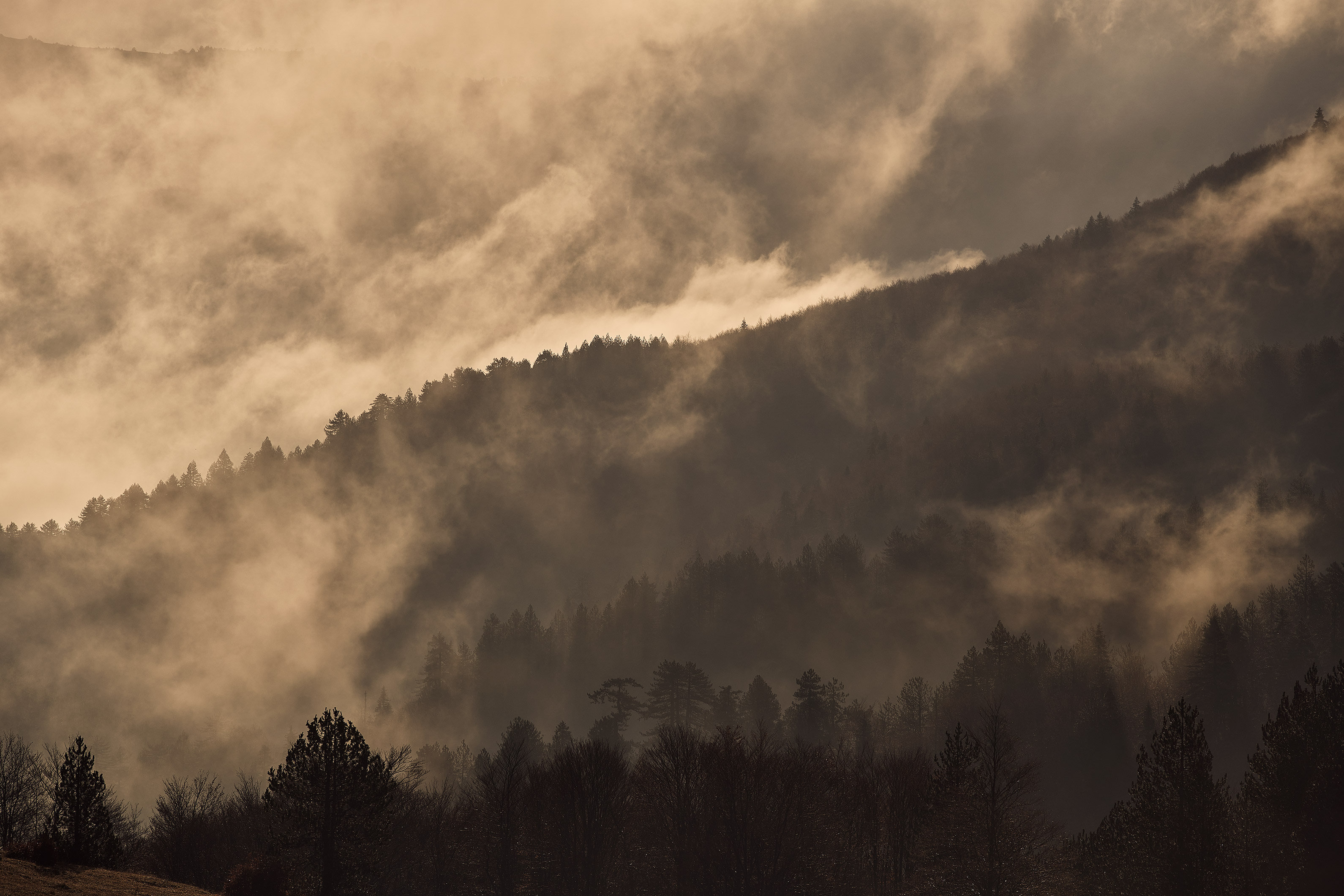 Grand Forest Metsovo by null
