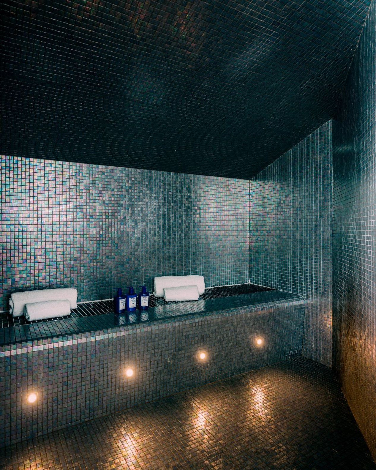 Hôtel Les Roches Blanches by null