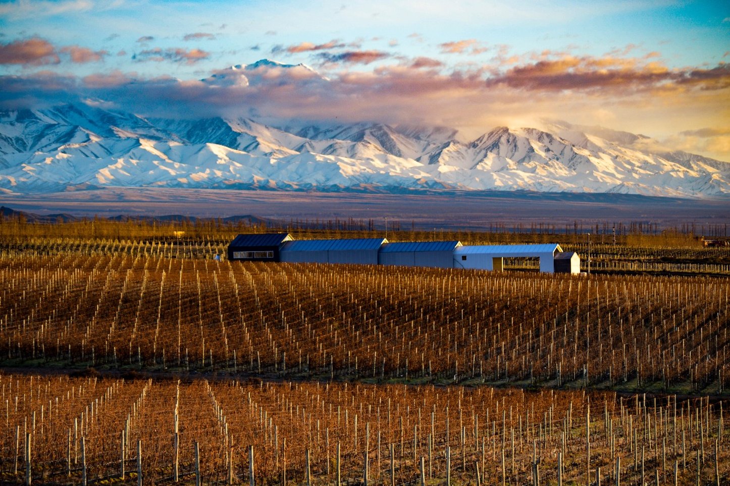 Casa de Uco Vineyards & Wine Resort by null