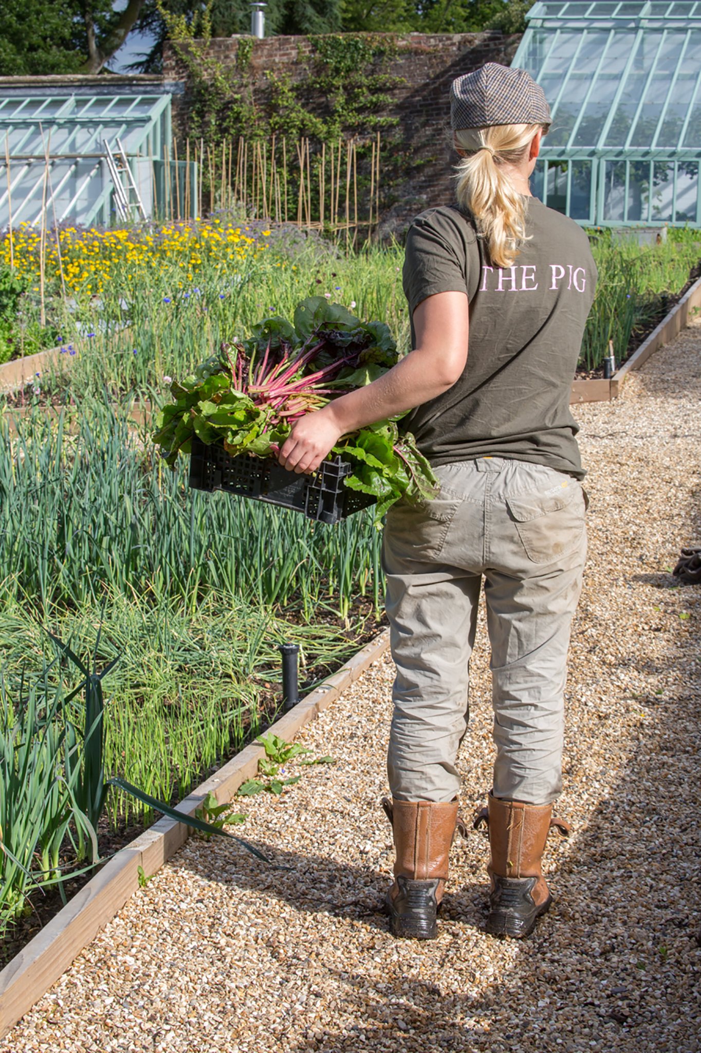 THE PIG-at Combe by null