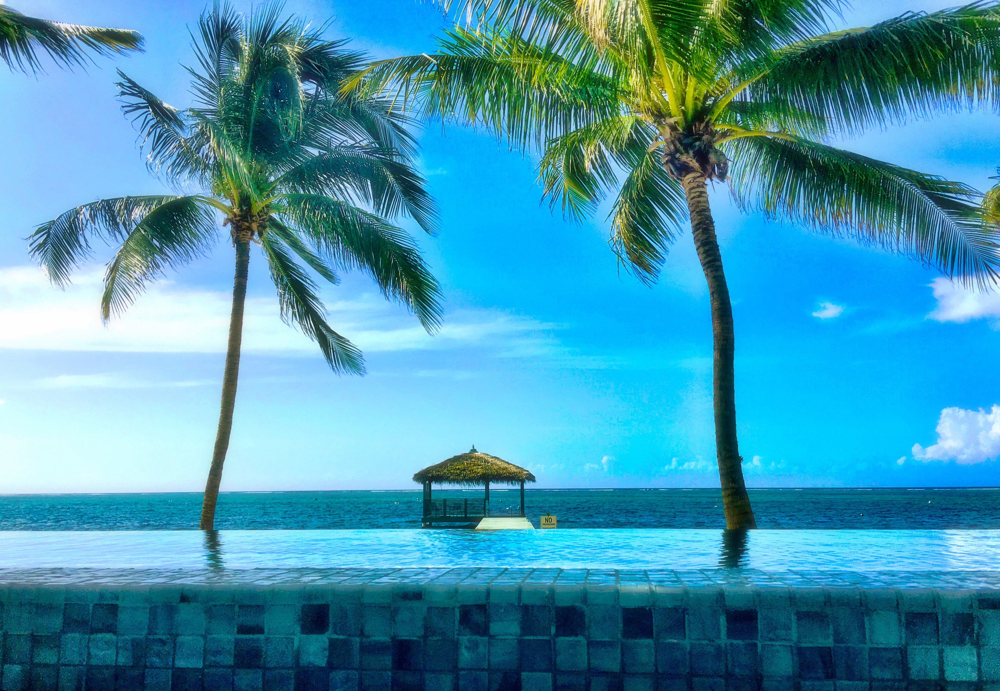 Luxury Cayman Villas by null