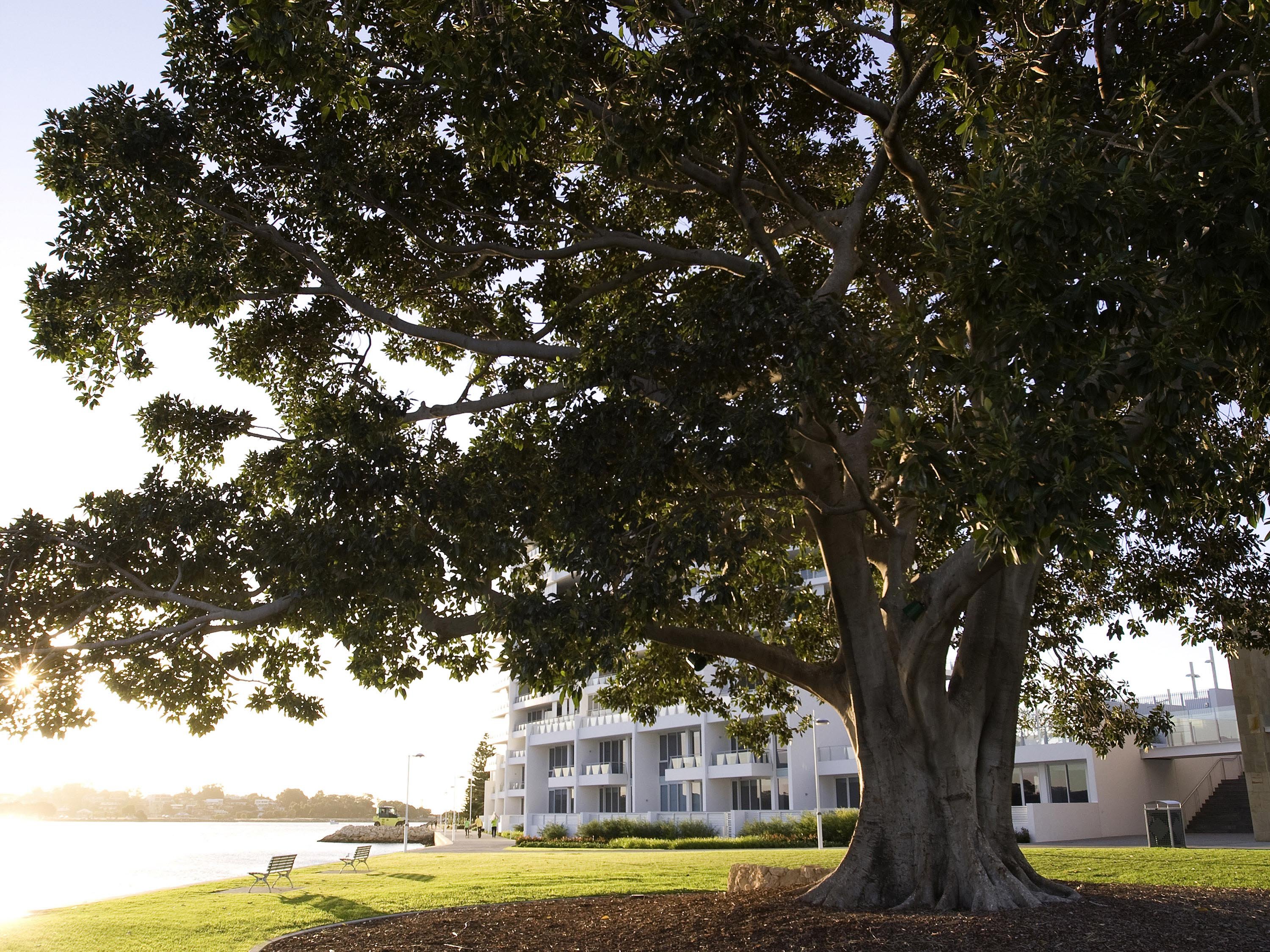 The Sebel Mandurah by null