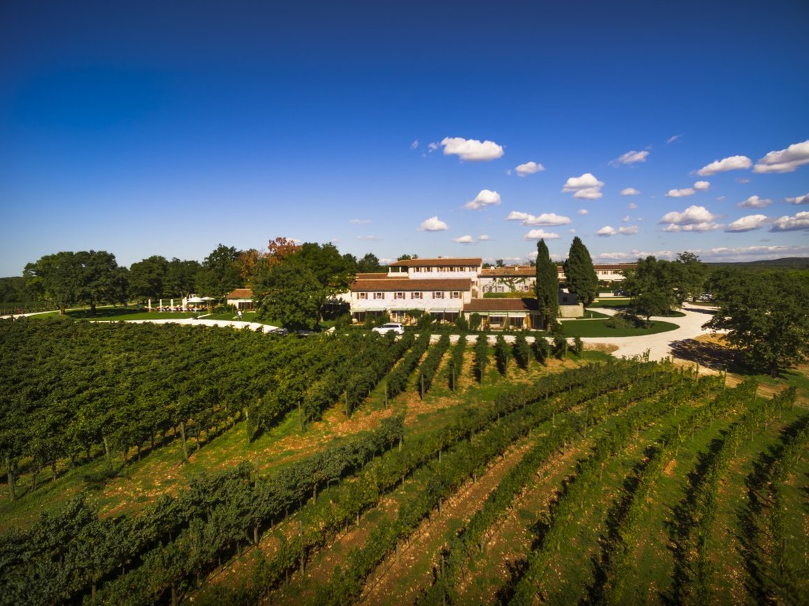 Meneghetti Wine Hotel & Winery by null
