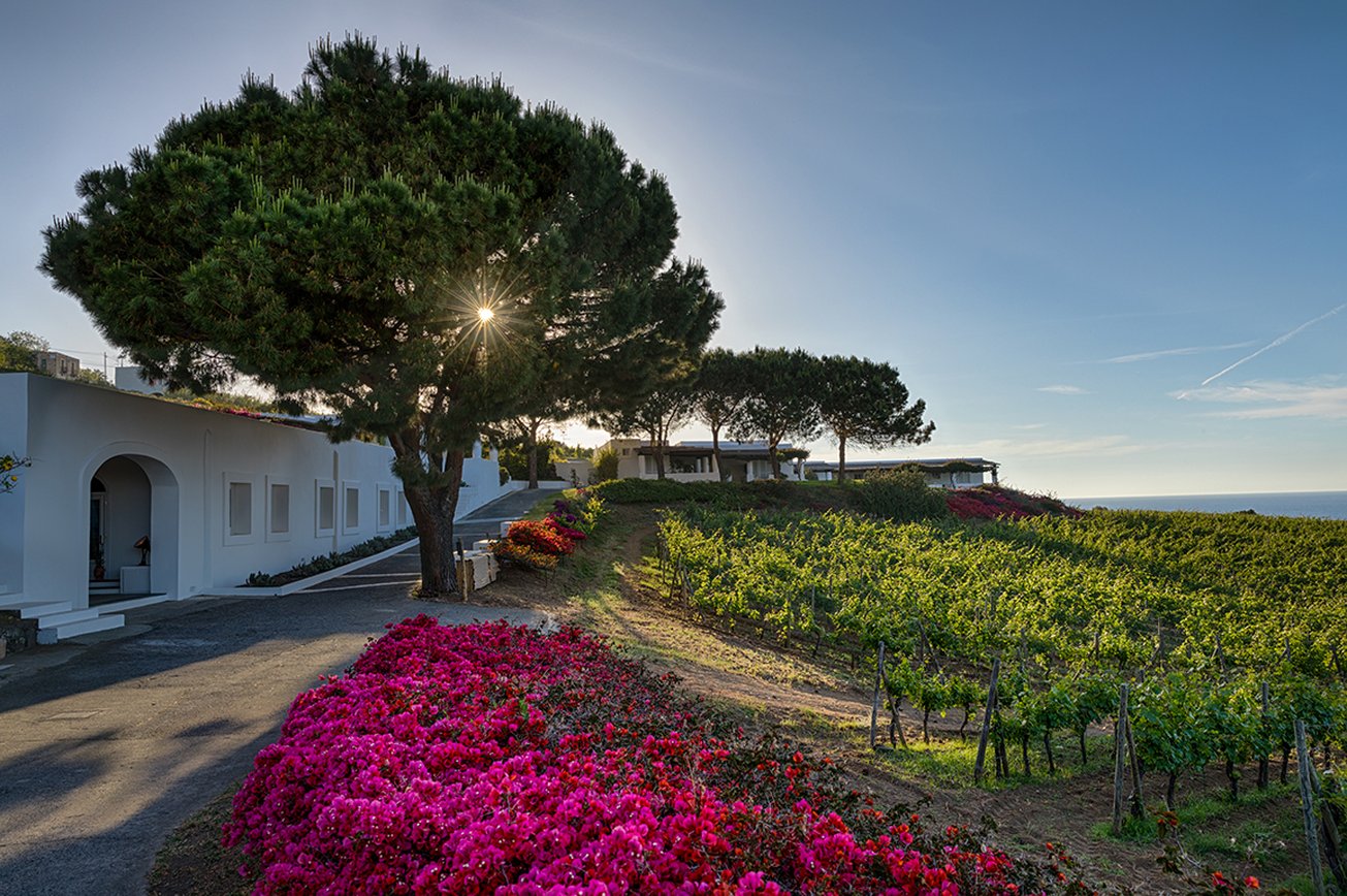 Capofaro Resort by null