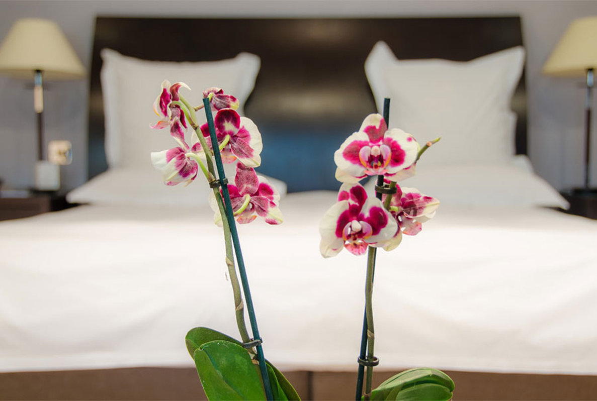 Hotel Felix by null