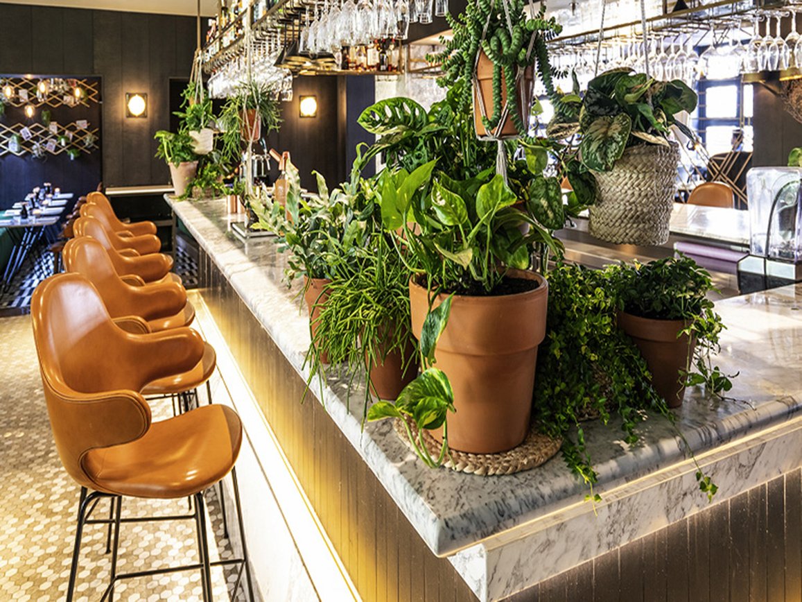 Sofitel Legend The Grand Amsterdam by null